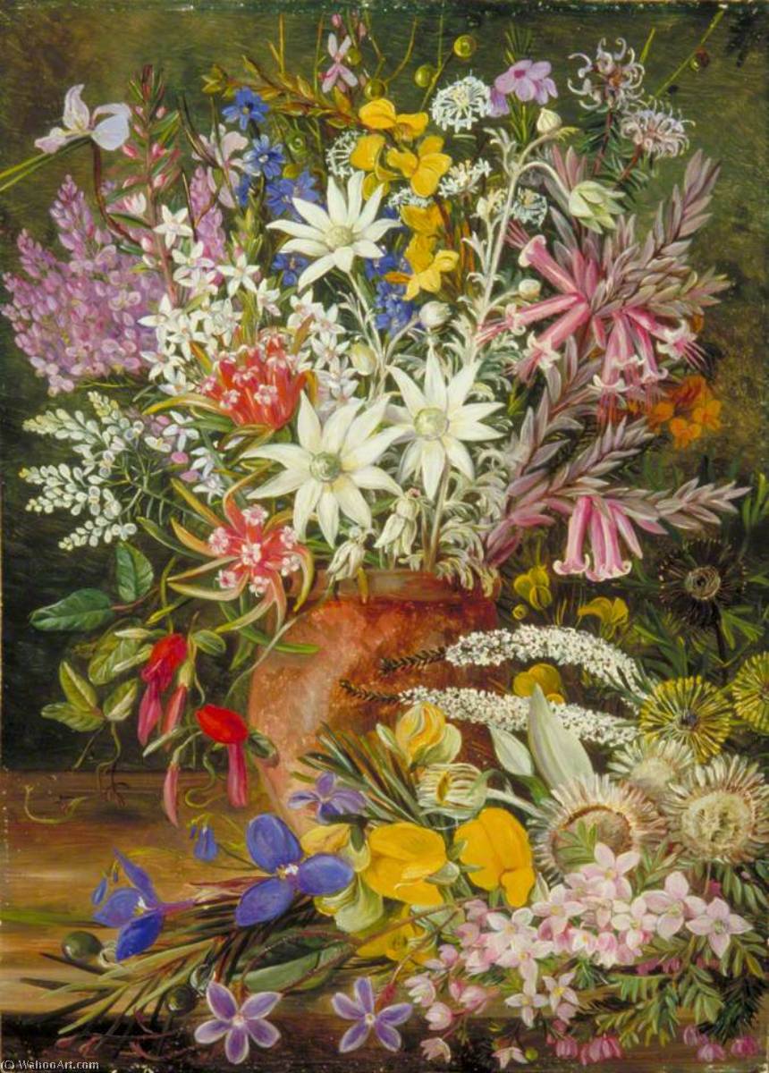 Flores Silvestres De Las Montañas Azules, Nueva Gales Del Sur — Marianne North