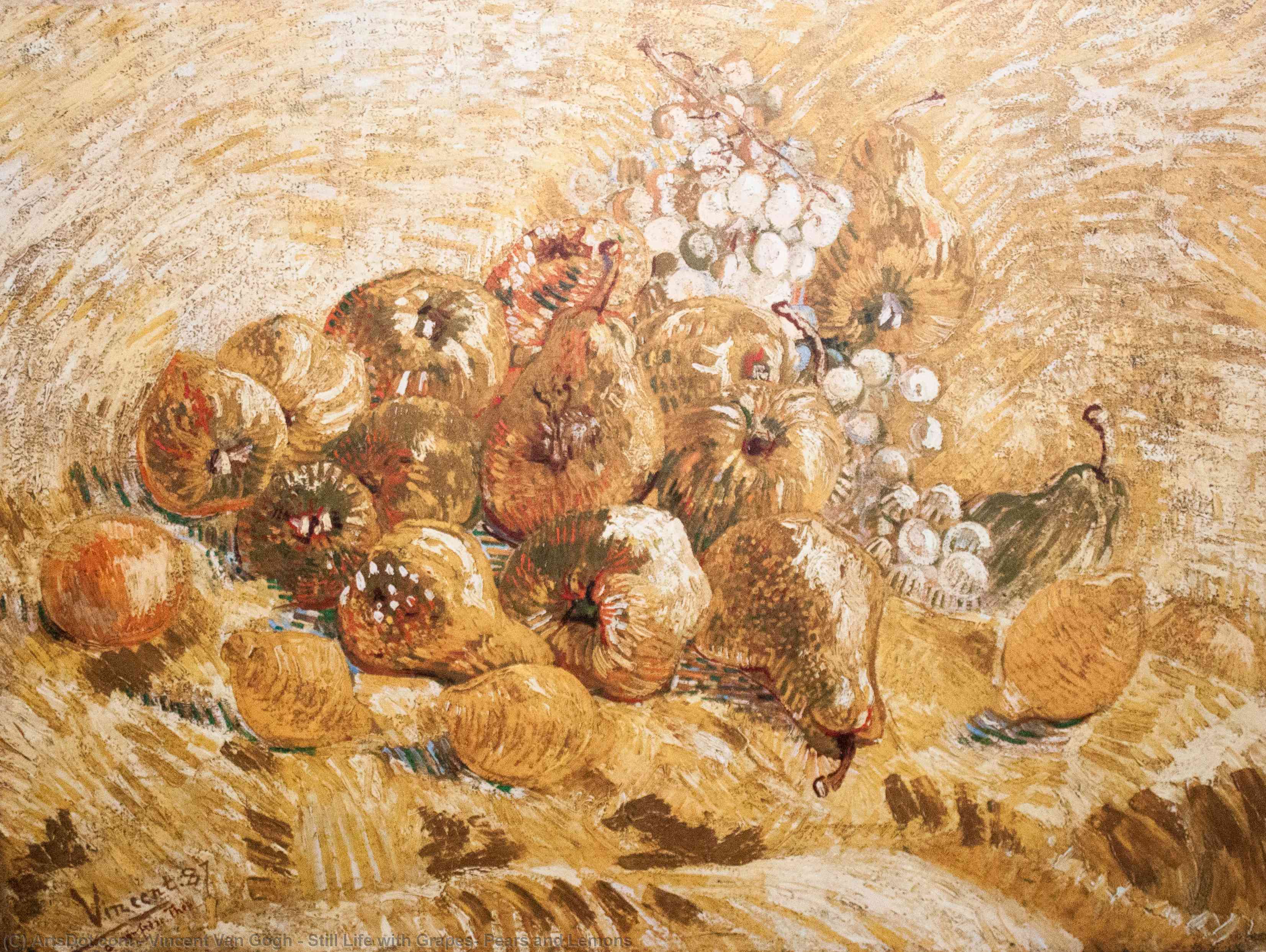 Stillleben Mit Trauben, Birnen Und Zitronen — Vincent Willem Van Gogh