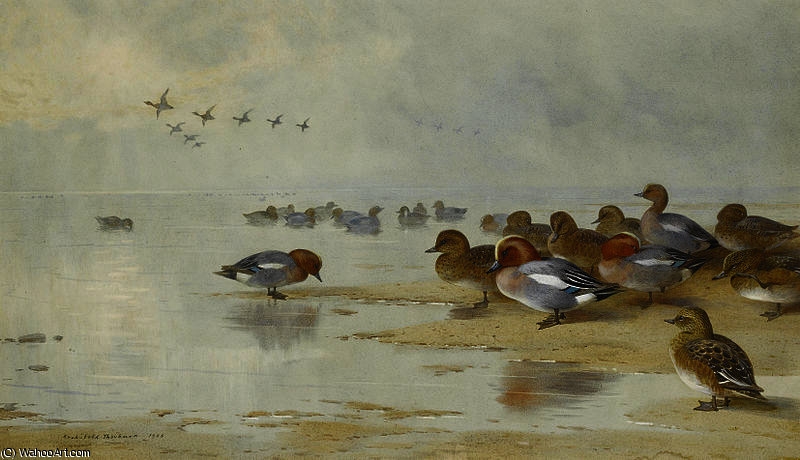 Wigeon And Teal By The Water's Edge — Archibald Thorburn