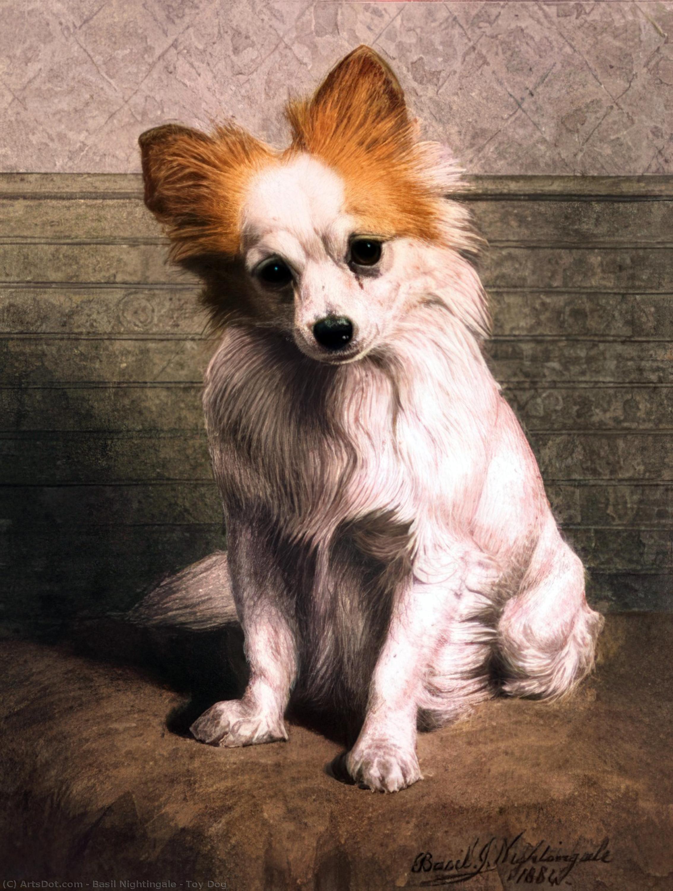 Toy Dog — Basil Nightingale