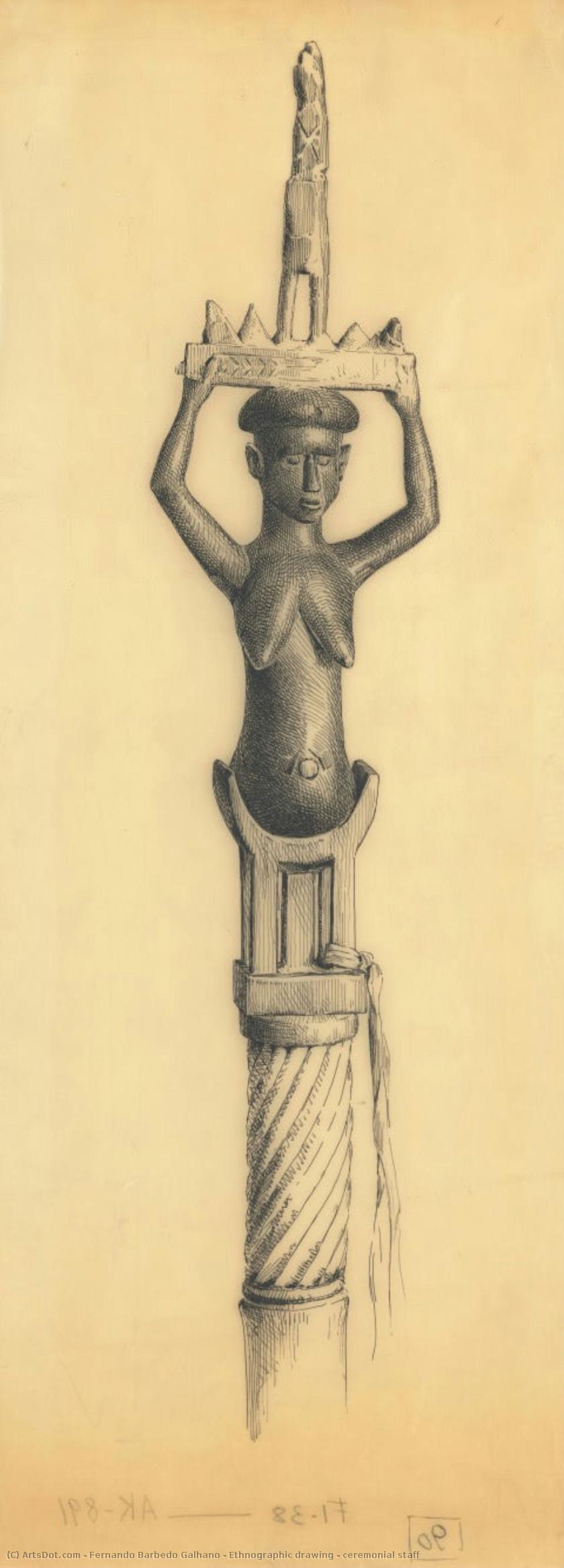 Ethnographic Drawing - Ceremonial Staff — Fernando Barbedo Galhano