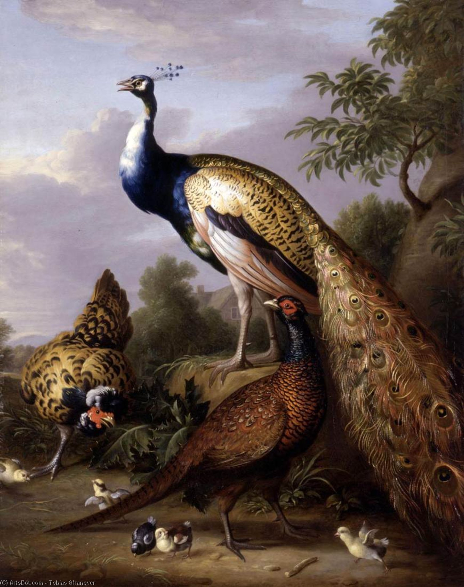 Peacock, Hen And Cock Pheasant In A Landscape — Tobias Stranover