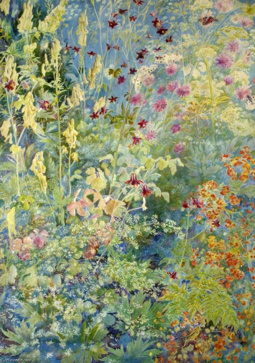 Pink Aquilegia, Yellow Foxgloves, Cow Parsley — Christiana Jane Herringham