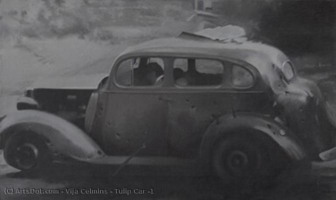 Tulip Car #1 — Vija Celmins
