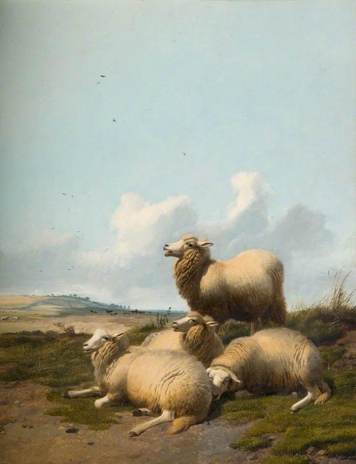 Four Sheep — トーマス・シドニー・クーパー