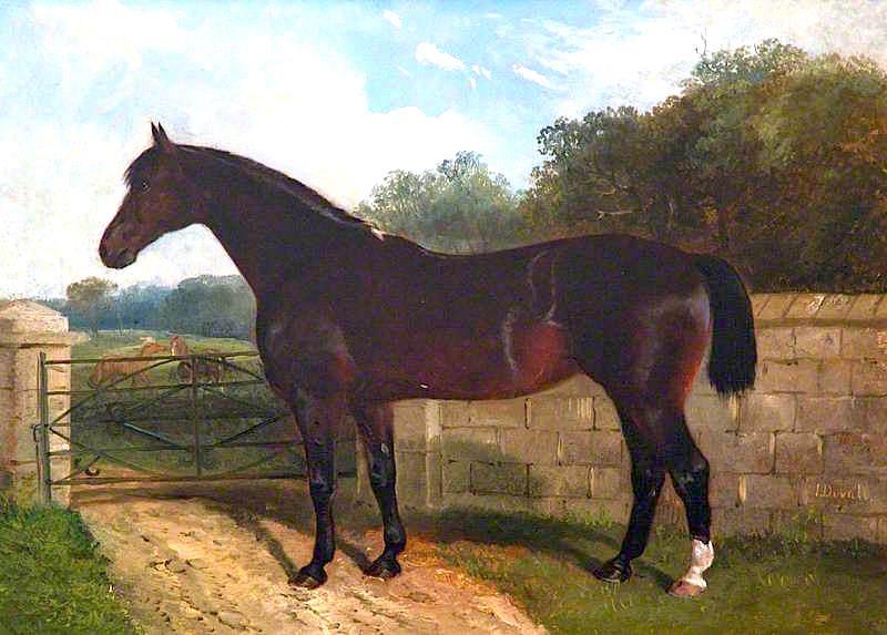'hungerford Mare' — John Duval