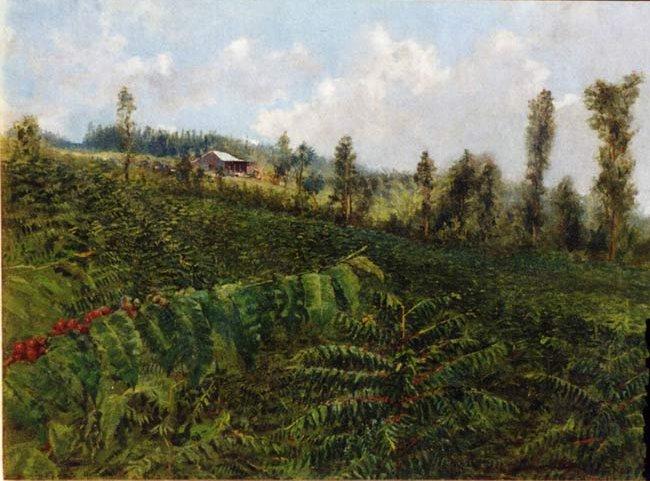 Untitled (aqzbmc) — David Howard Hitchcock