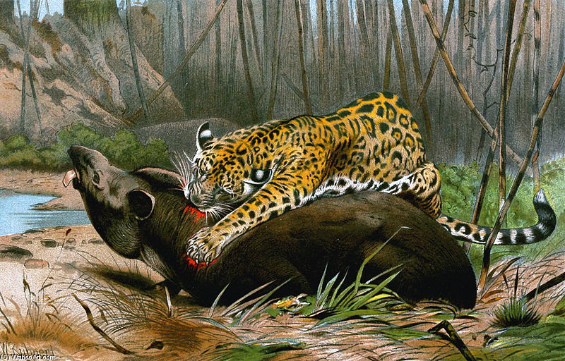 Jaguar Killing Tapir — Фридрих Вильгельм Кунерт