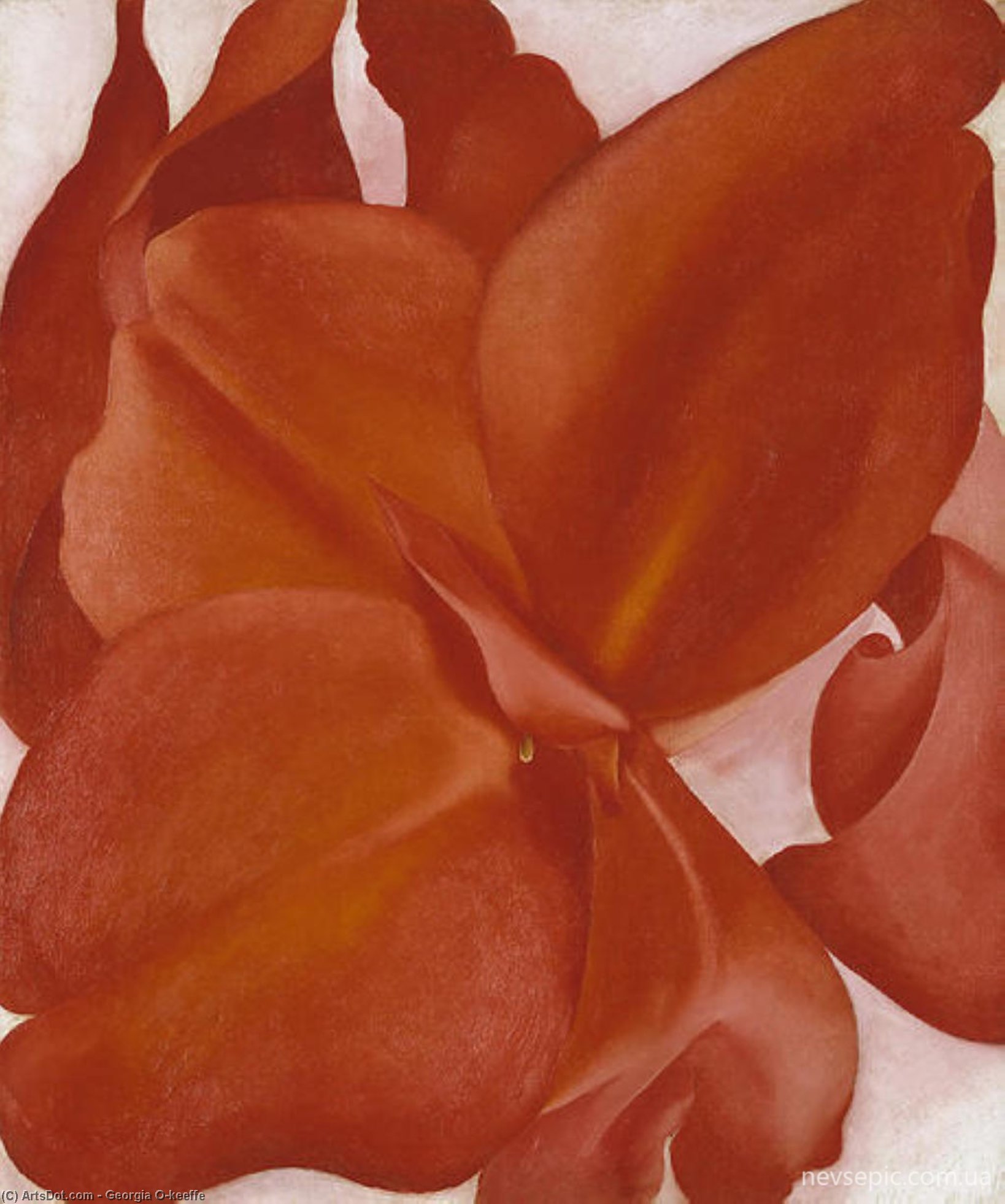 Red Cannas — Georgia O’keeffe
