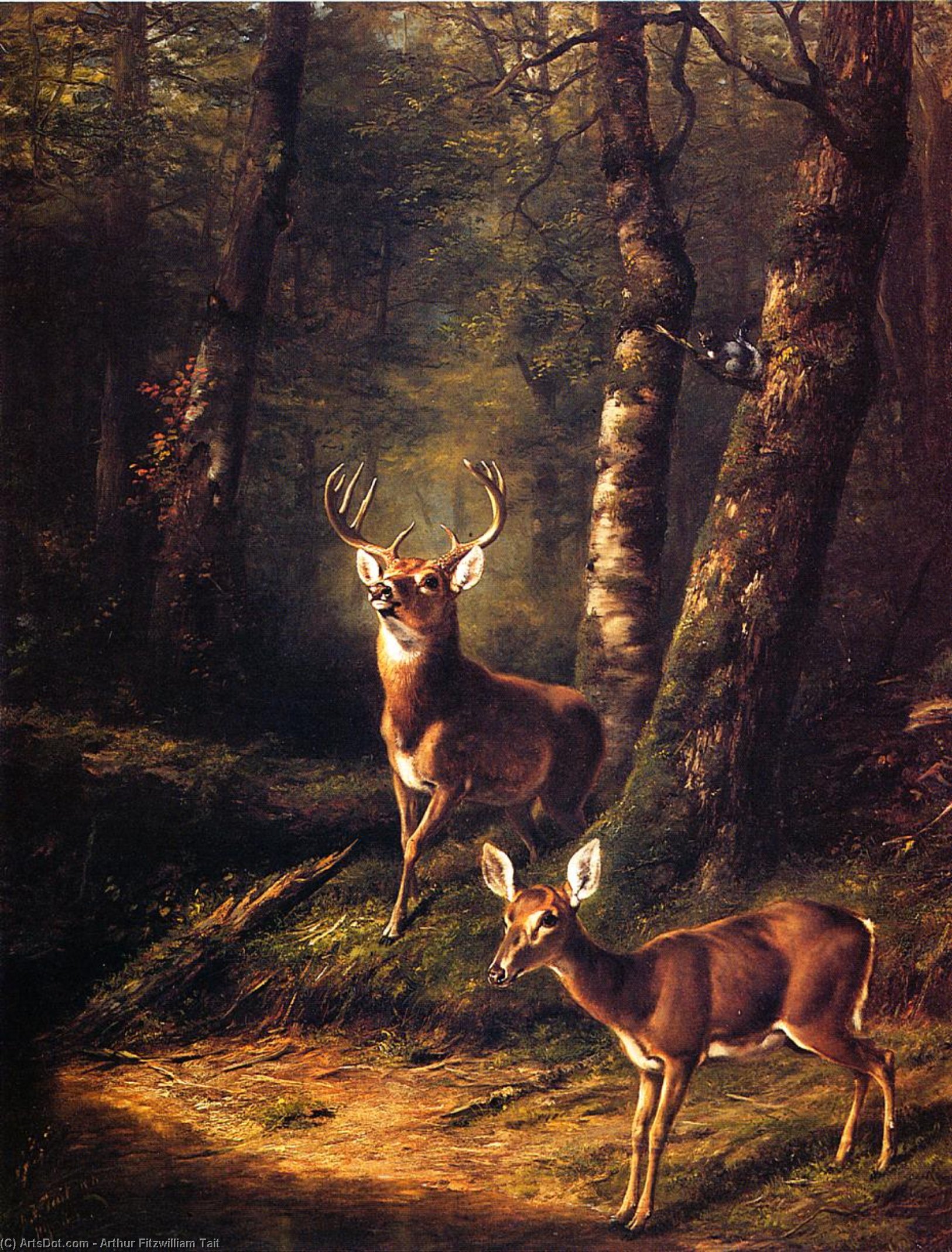 The Forest: Adirondacks — Arthur Fitzwilliam Tait