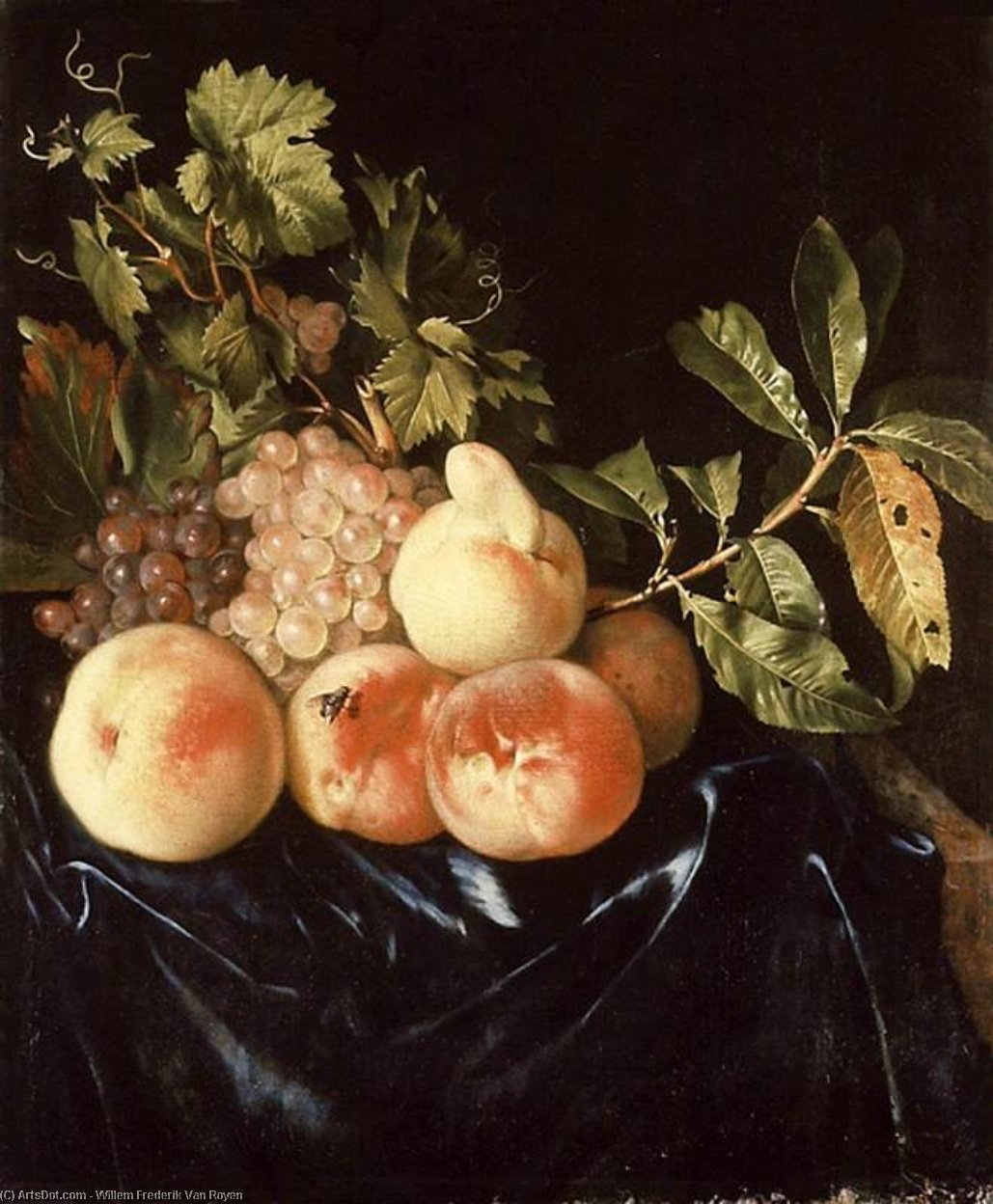 Still-life Of Peaches And Grapes — Willem Frederik Van Royen