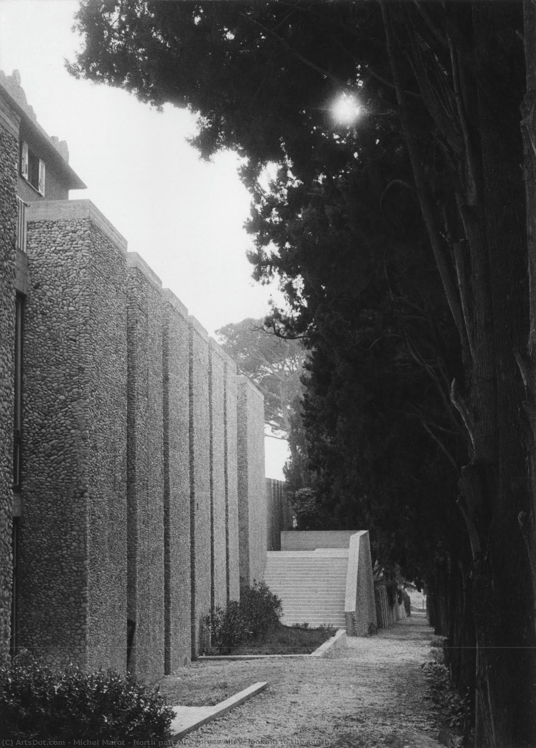 North Part Of Cypress Alley, Looking To The South — ミシェル・マロ