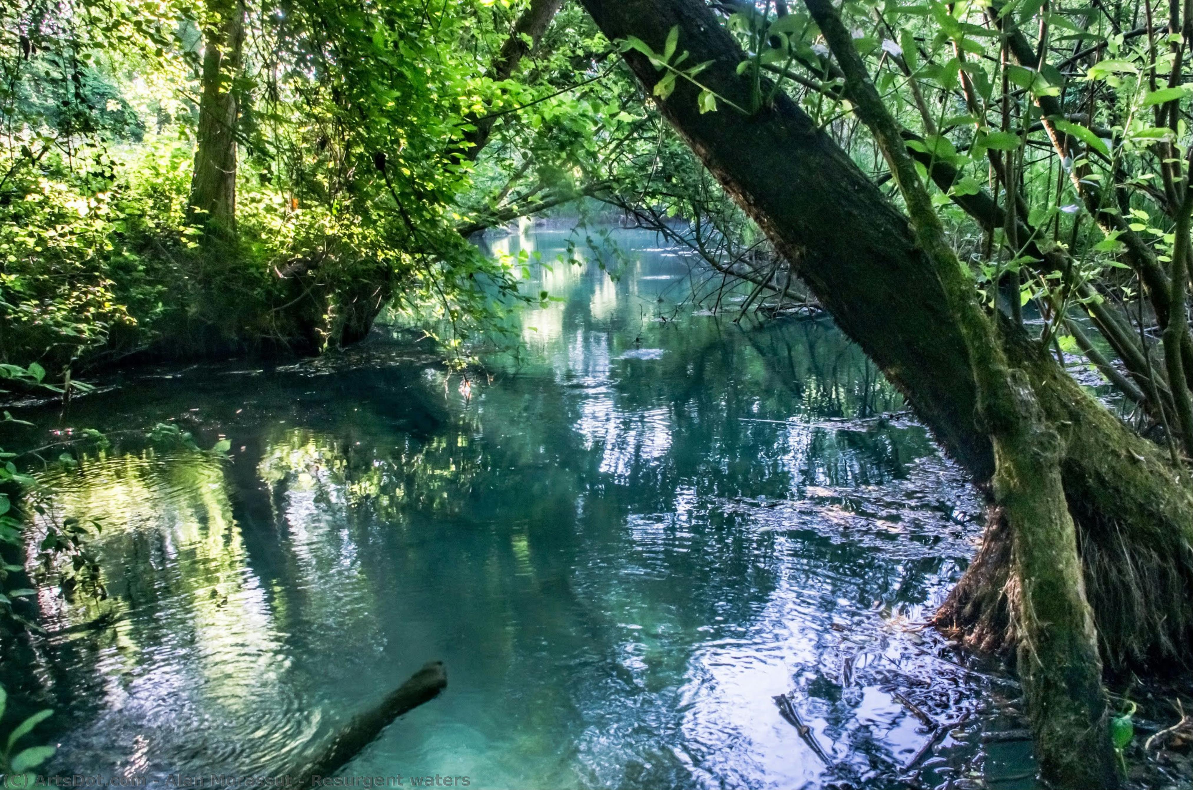 Resurgent Waters — Alan Morassut