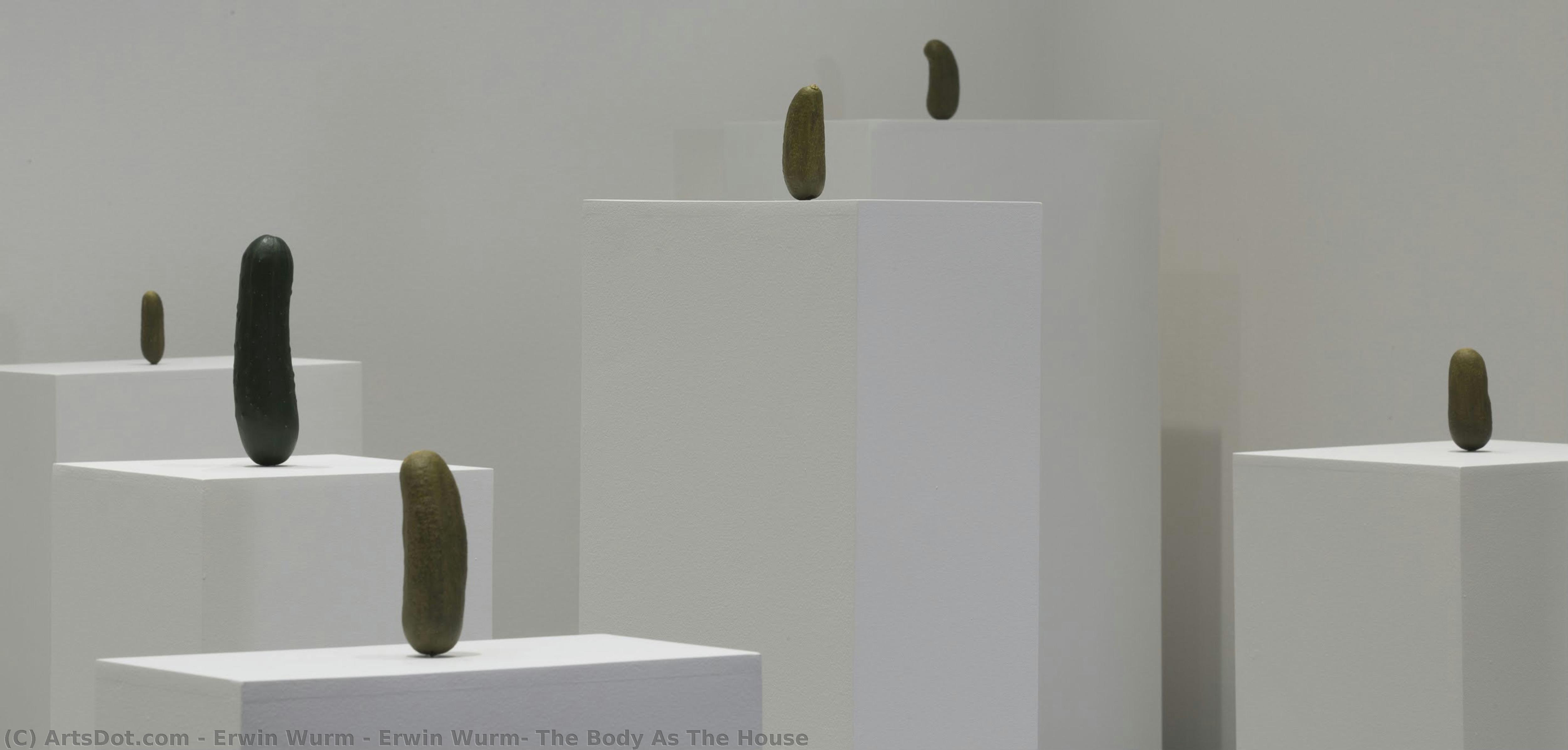 Erwin Wurm: The Body As The House — Erwin Wurm