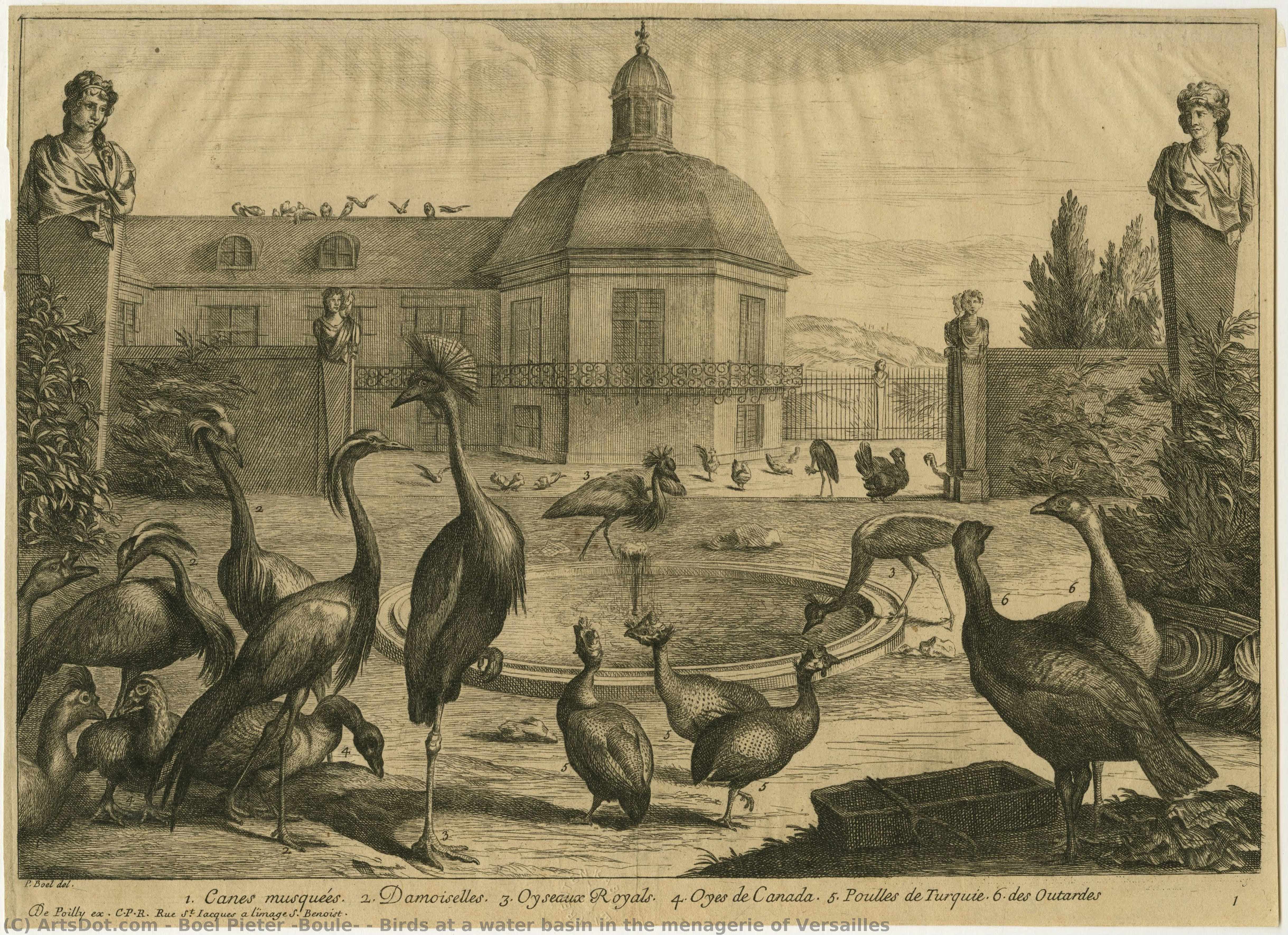 Birds At A Water Basin In The Menagerie Of Versailles — Pieter Boel