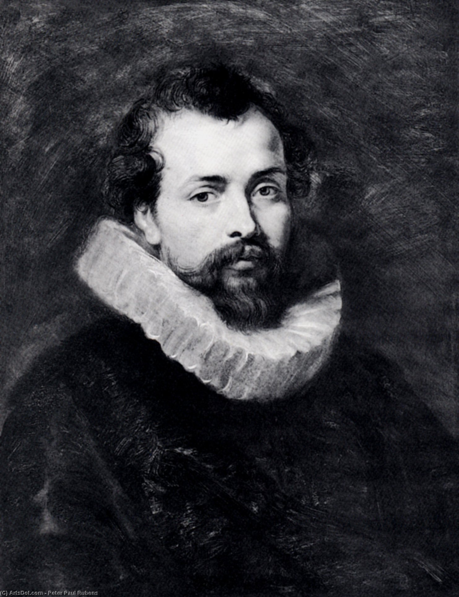 Portrait Of Philip Rubens — Peter Paul Rubens