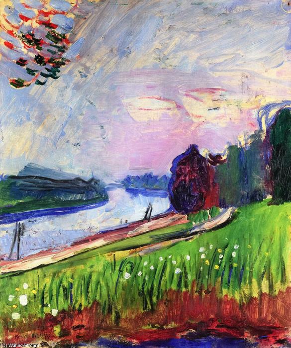 Cosechera De Las Orillas Del Garron — Henri Matisse