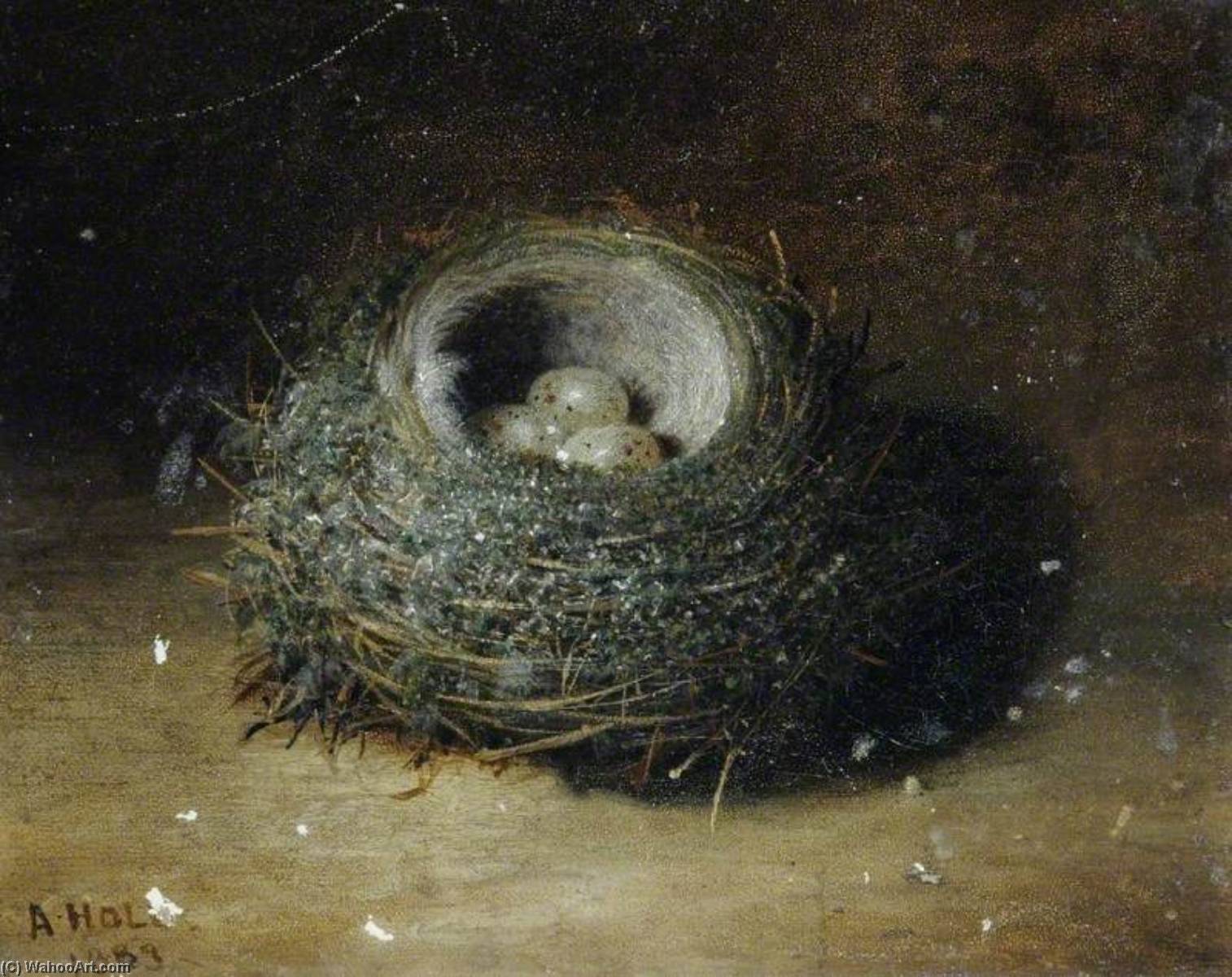 Nest With Three Eggs — Abel Hold