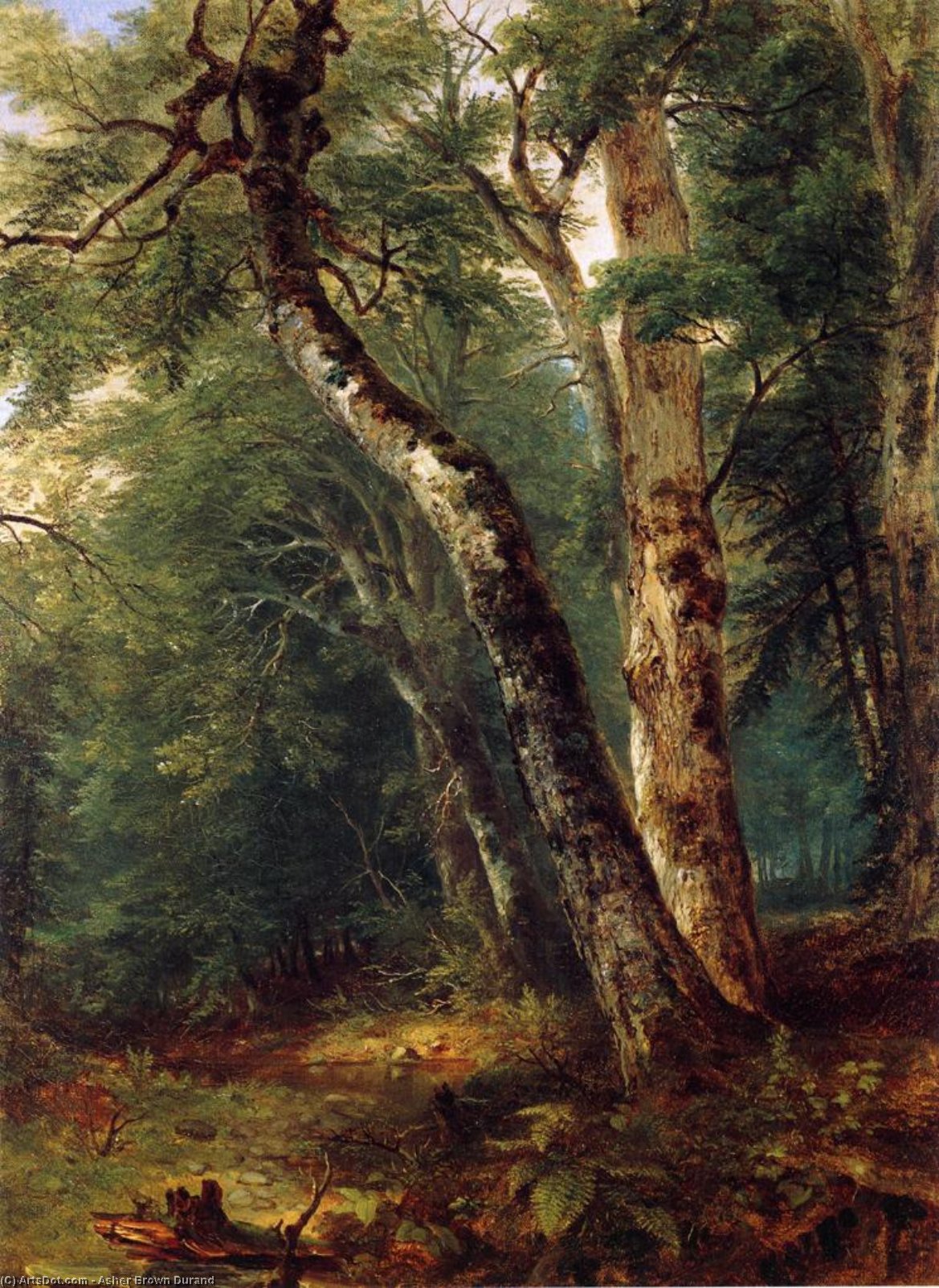 Woodland Interior 1 — Asher Brown Durand
