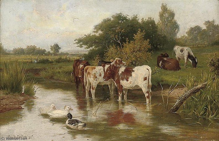 Calves Watering With Ducks In A Peaceful River Landscape — Claude Cardon