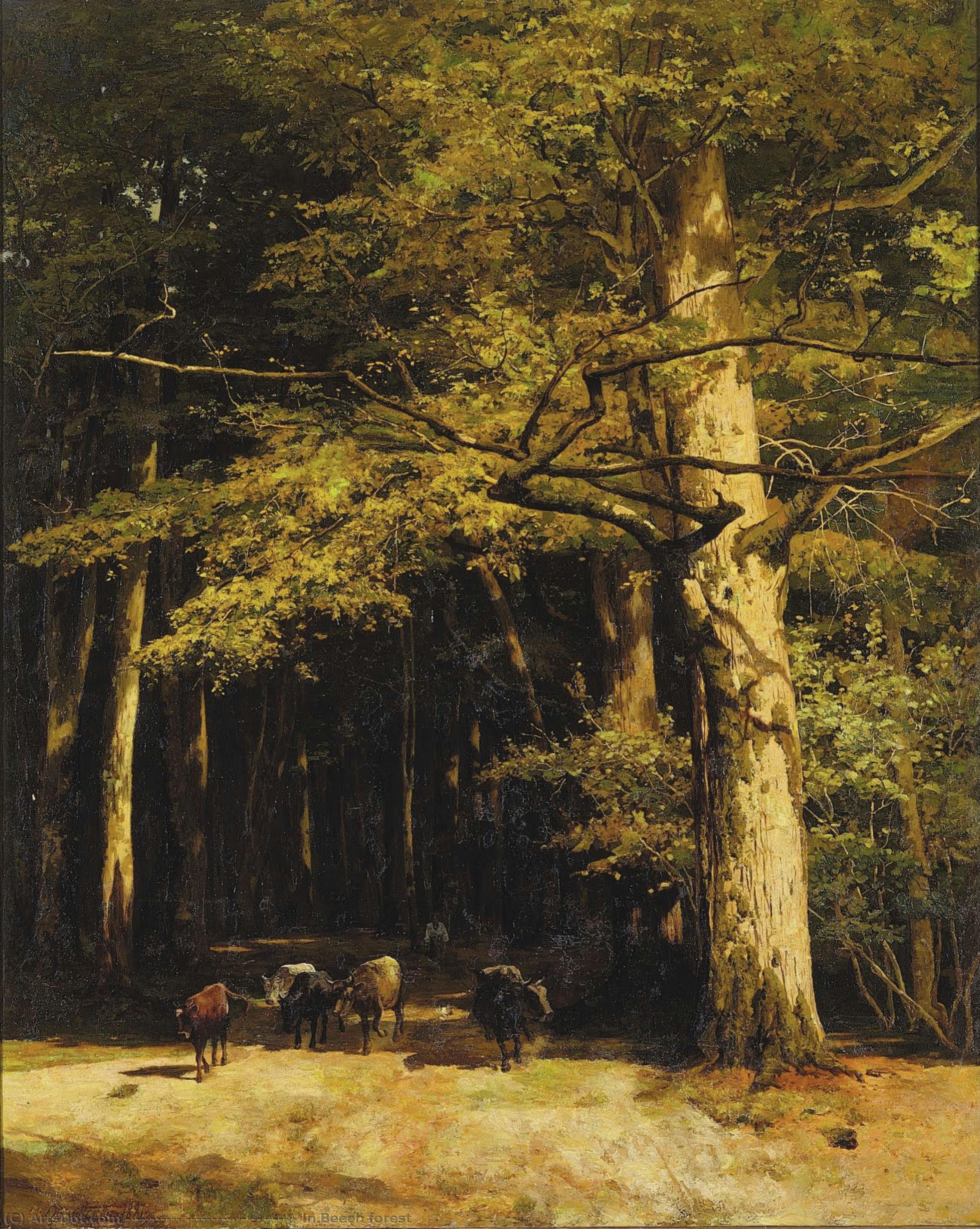 In Beech Forest — Максим Воробьёв