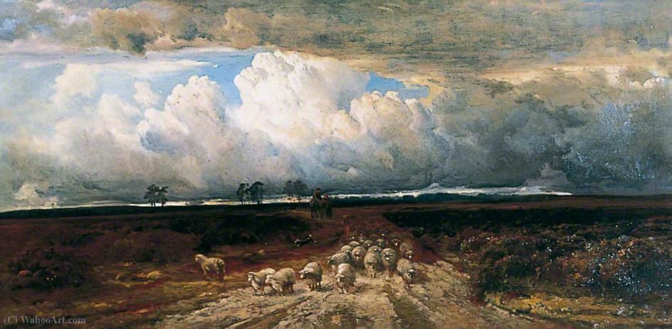 Driving Home The Flock — Bernard Walter Evans