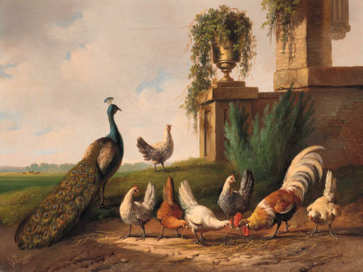 Peacock, Rooster And Chickens By A Ruin - — Albertus Verhoesen