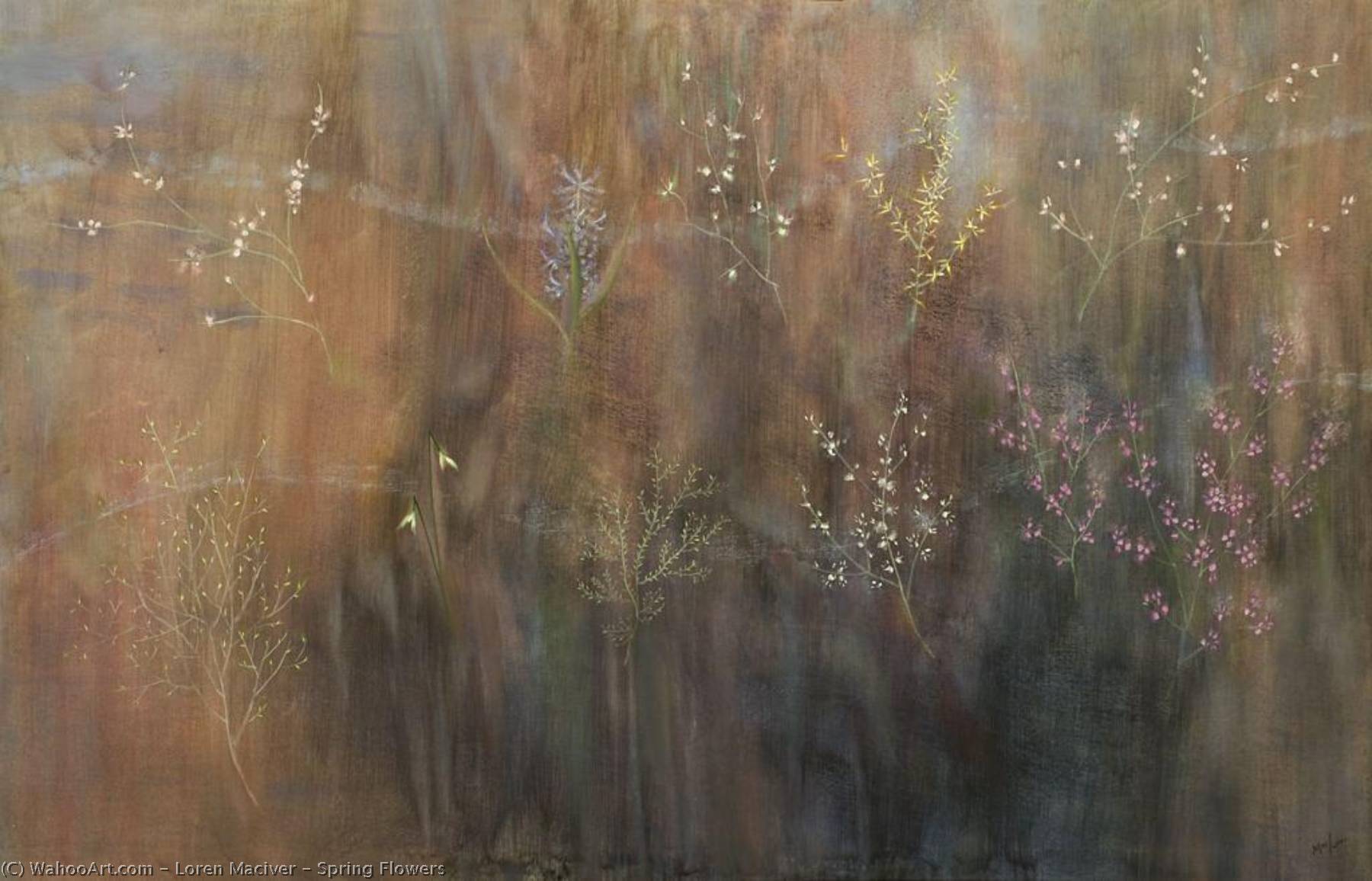 Spring Flowers — Loren Maciver