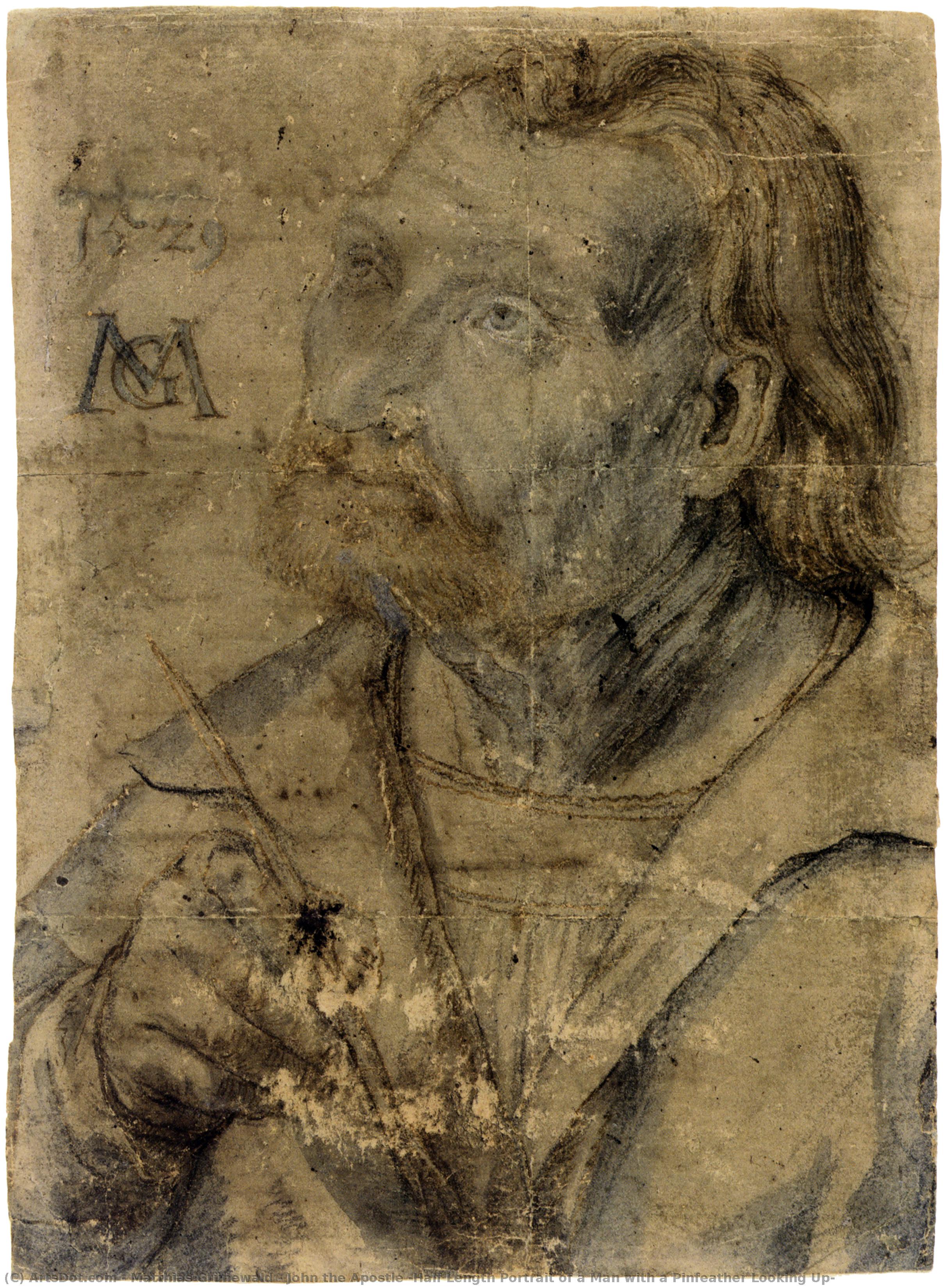 John The Apostle (half Length Portrait Of A Man With A Pinfeather Looking Up) — Matthias Grünewald