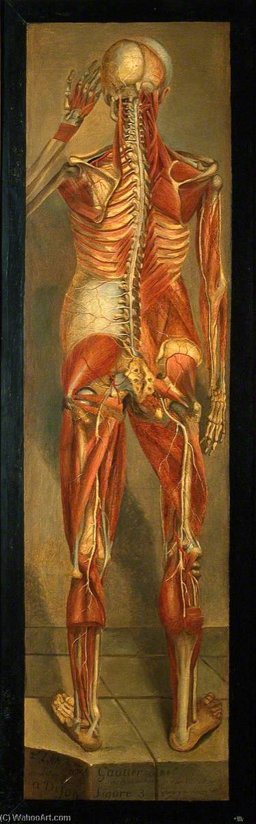 A Standing Ecorché, Posterior View, With Left Arm Raised To The Temple — Jacques Fabien Gautier Dagoty