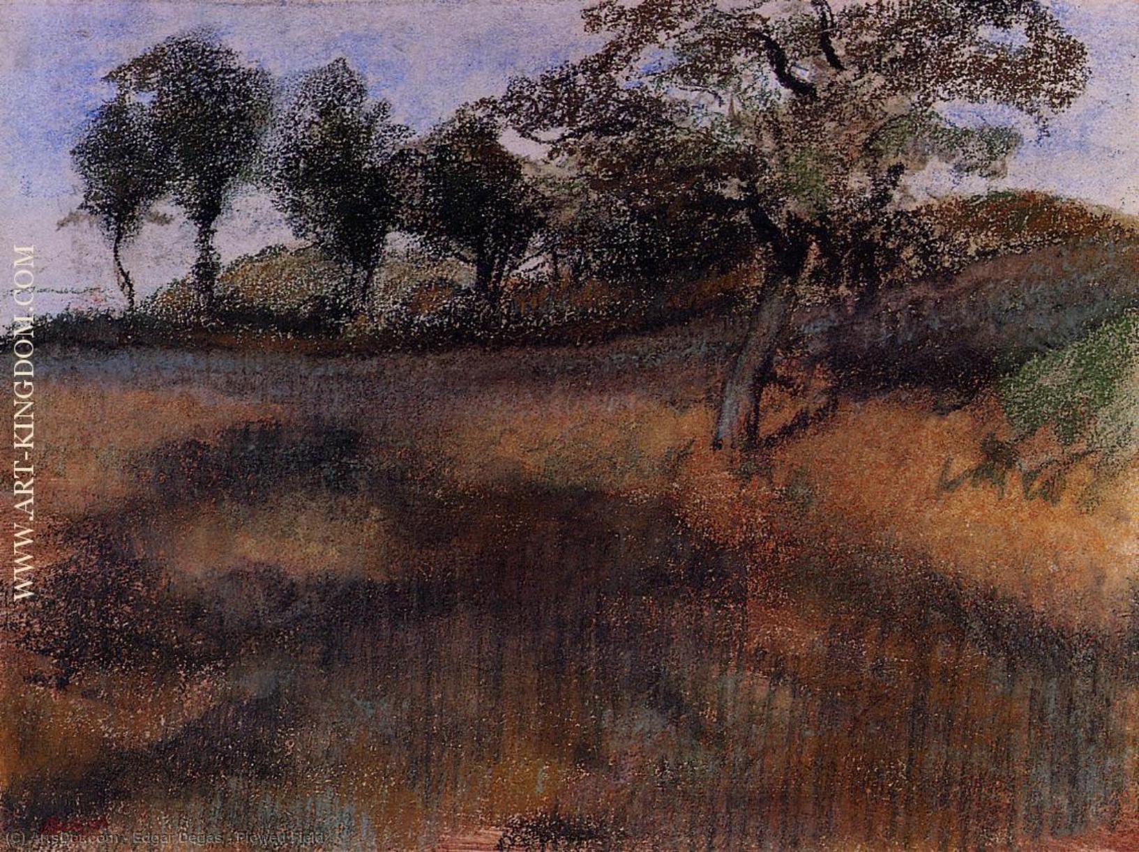 El Campo Arado — Hilaire-germain-edgar Degas