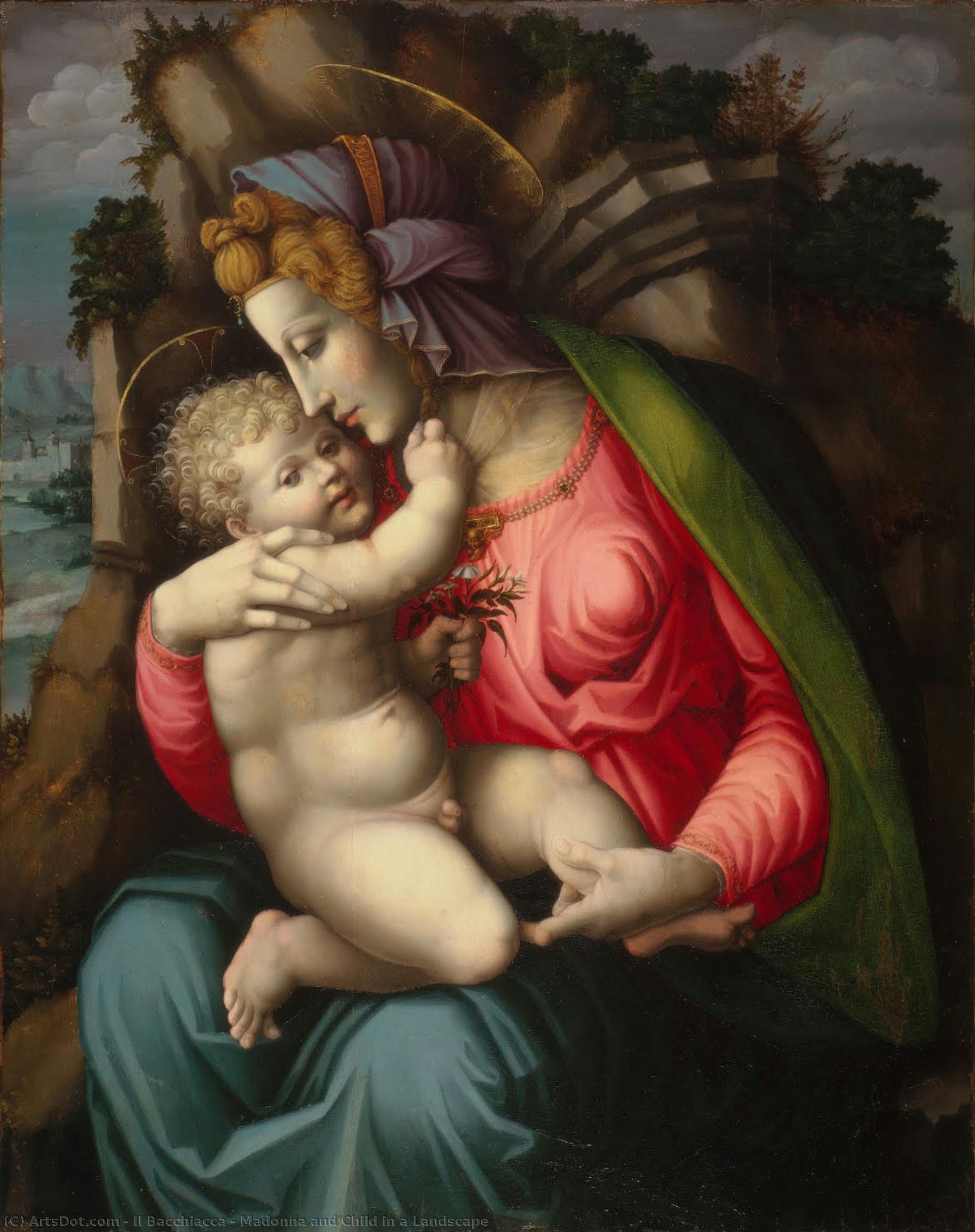 Madonna And Child In A Landscape — Il Bacchiacca