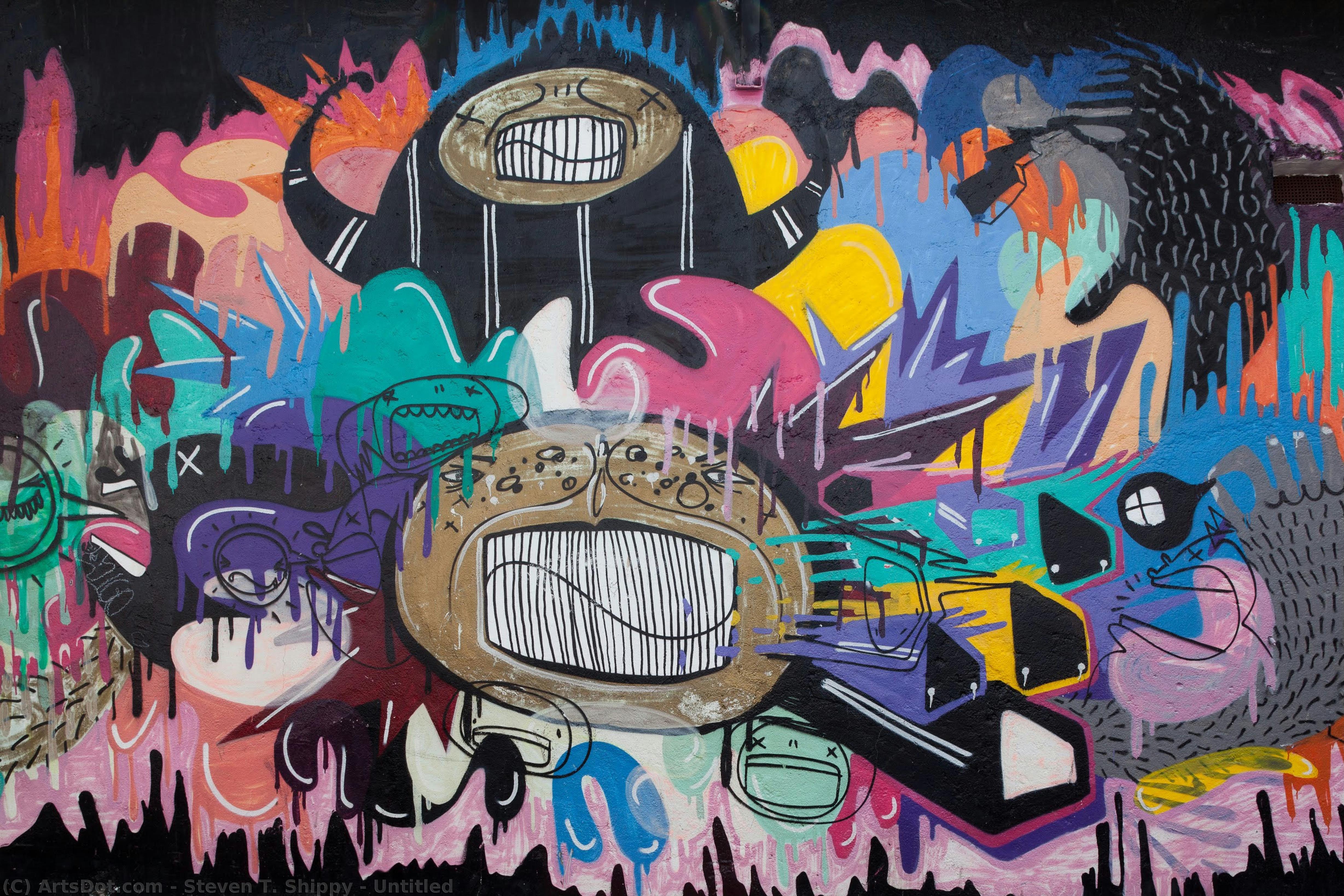 Untitled — Steven T. Shippy