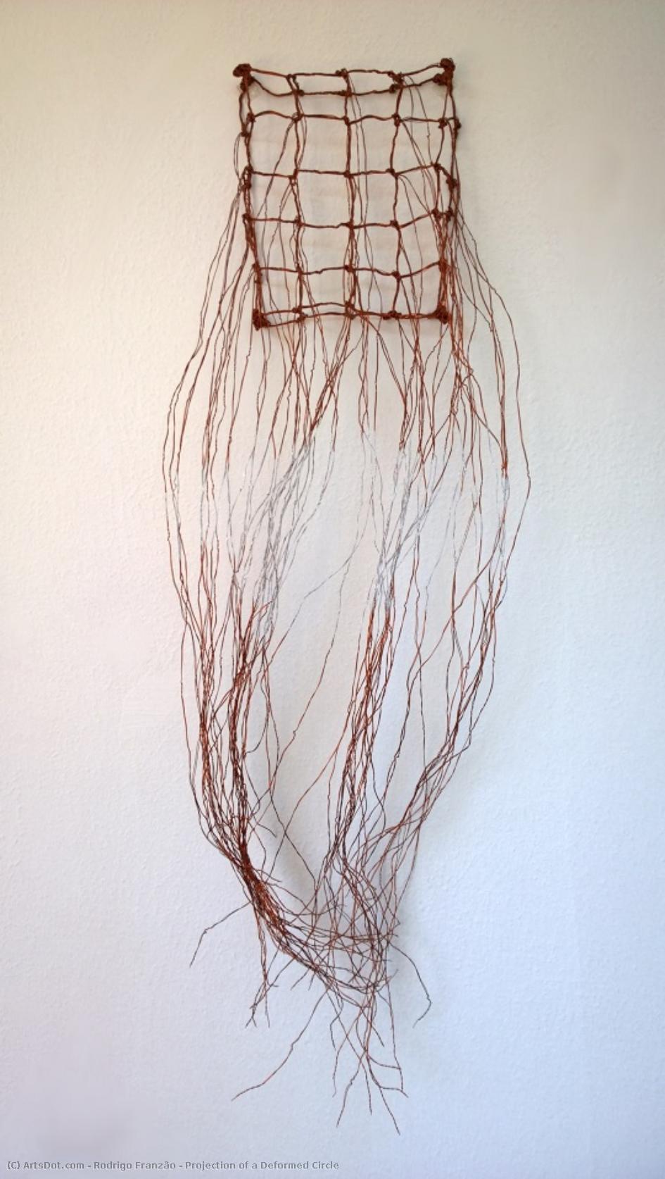 Projection Of A Deformed Circle — Rodrigo Franzão