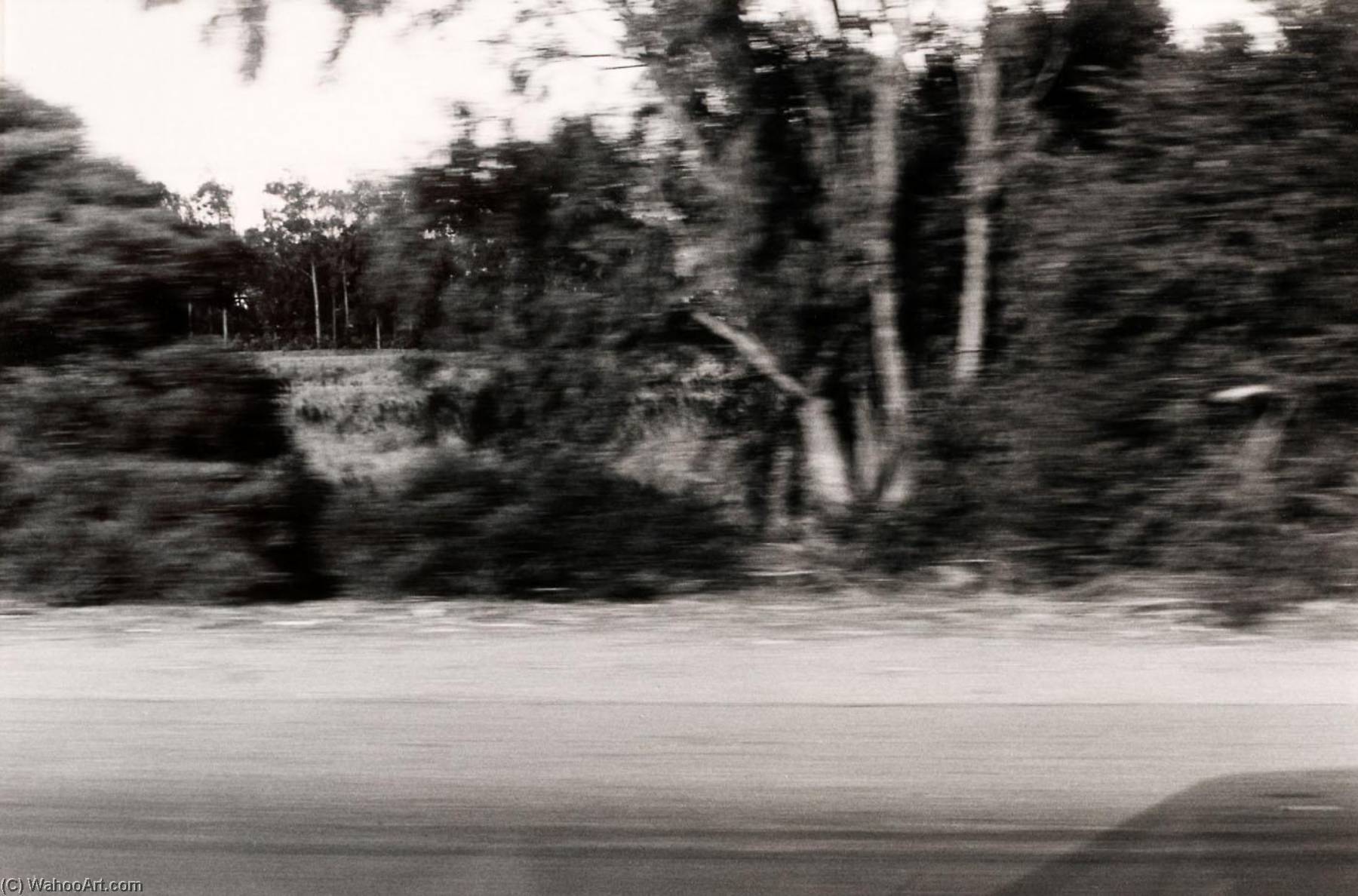 Autolandscape, California — Elaine Mayes