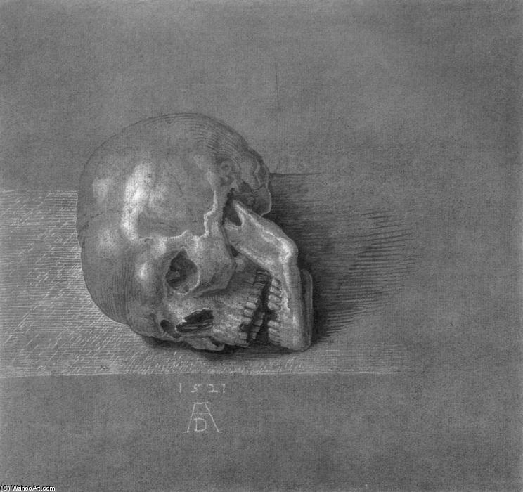 Skull — アルブレヒト・デューラー