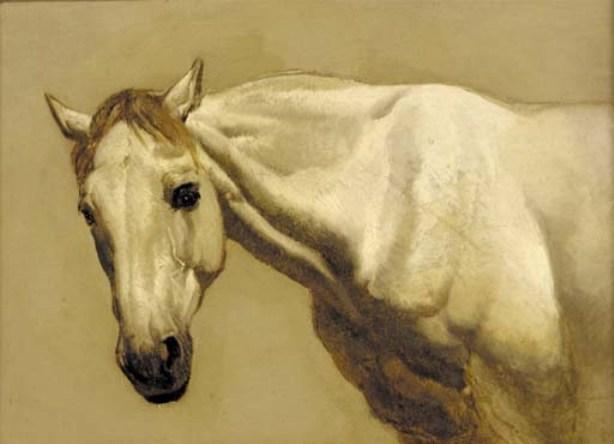 The Head Of A Grey Hunter — Джон Фредерик Хэрринг Старший