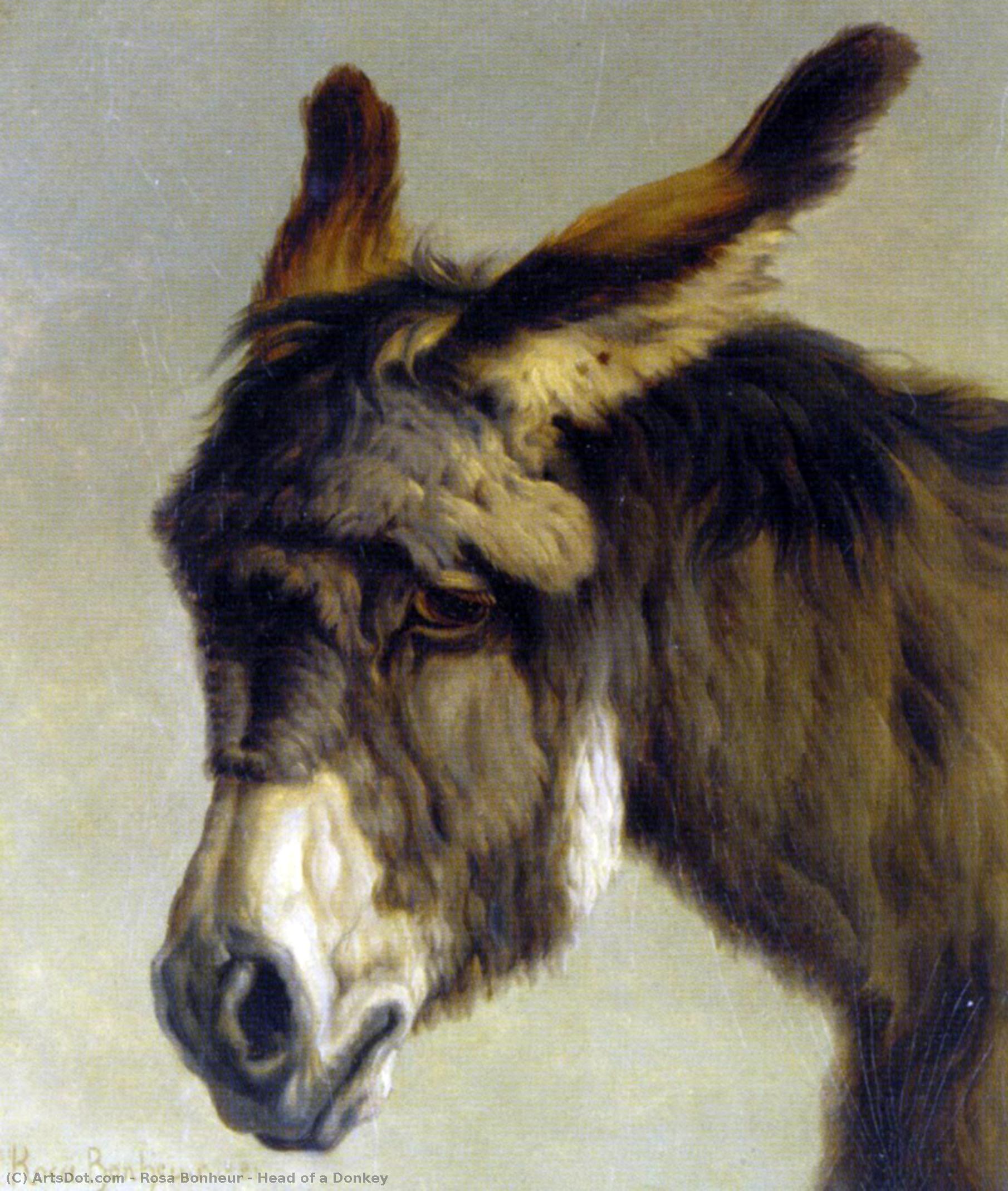 Head Of A Donkey — Rosa Bonheur