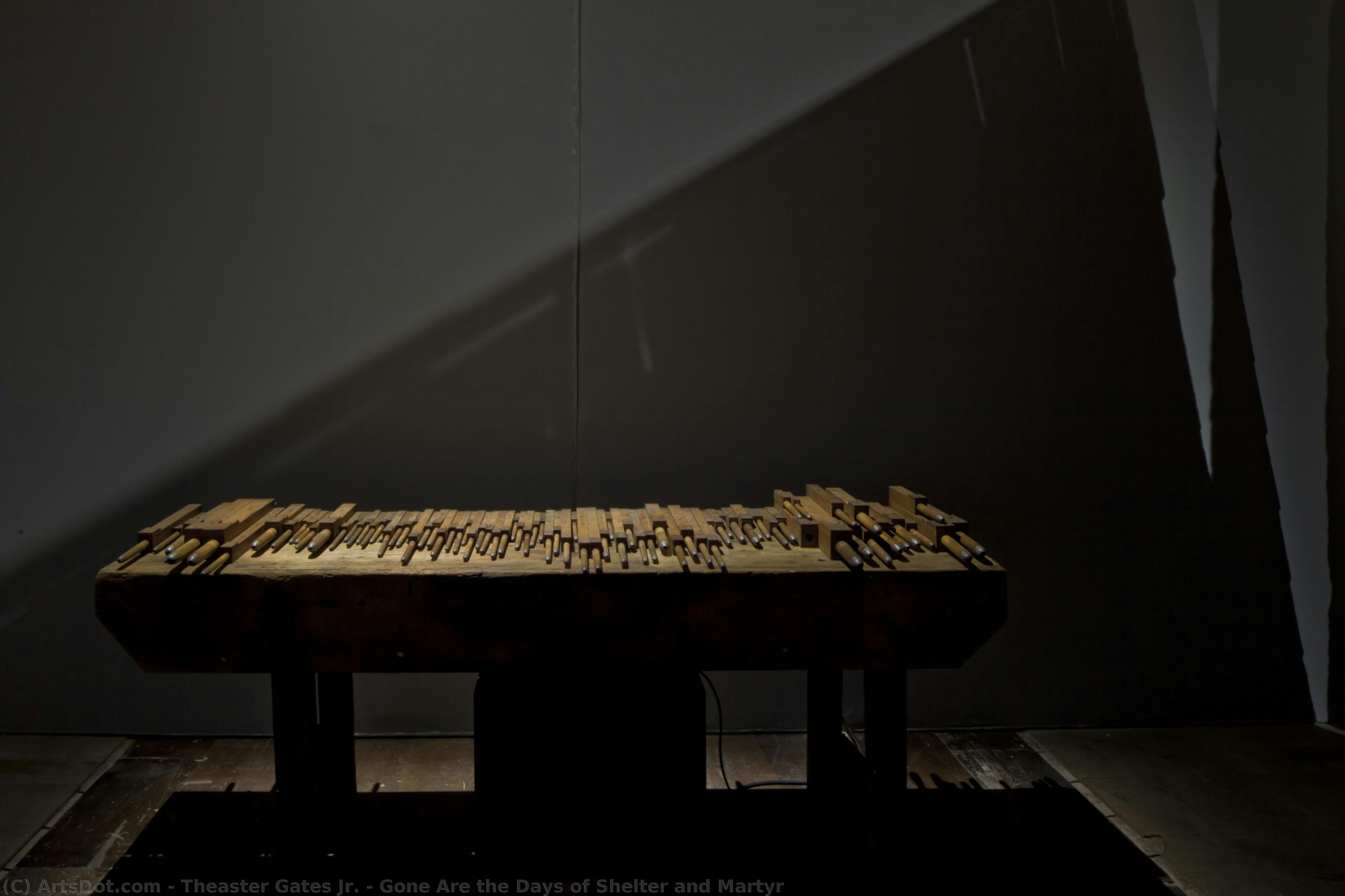 Gone Are The Days Of Shelter And Martyr — Theaster Gates Jr.