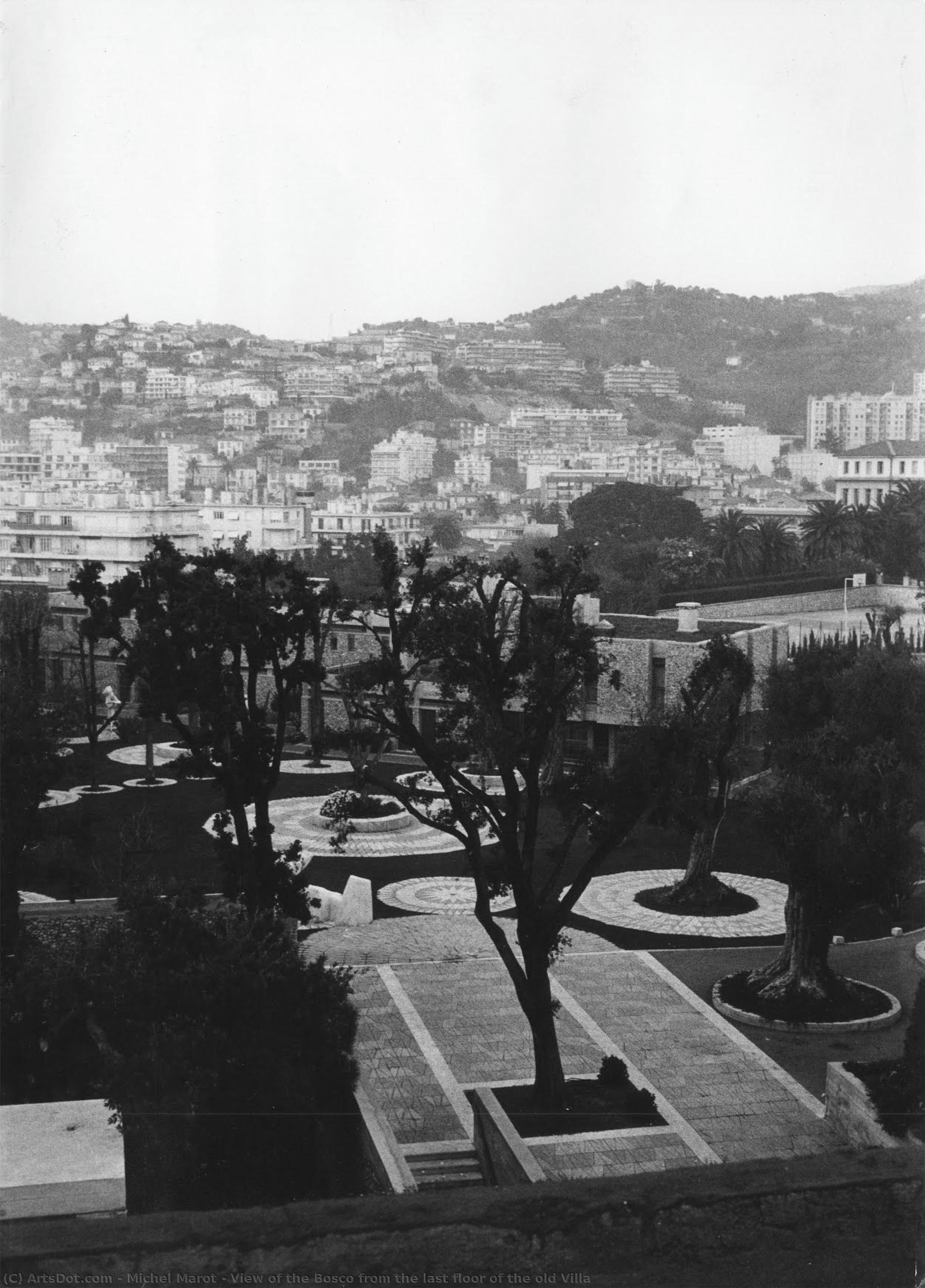 View Of The Bosco From The Last Floor Of The Old Villa — ミシェル・マロ