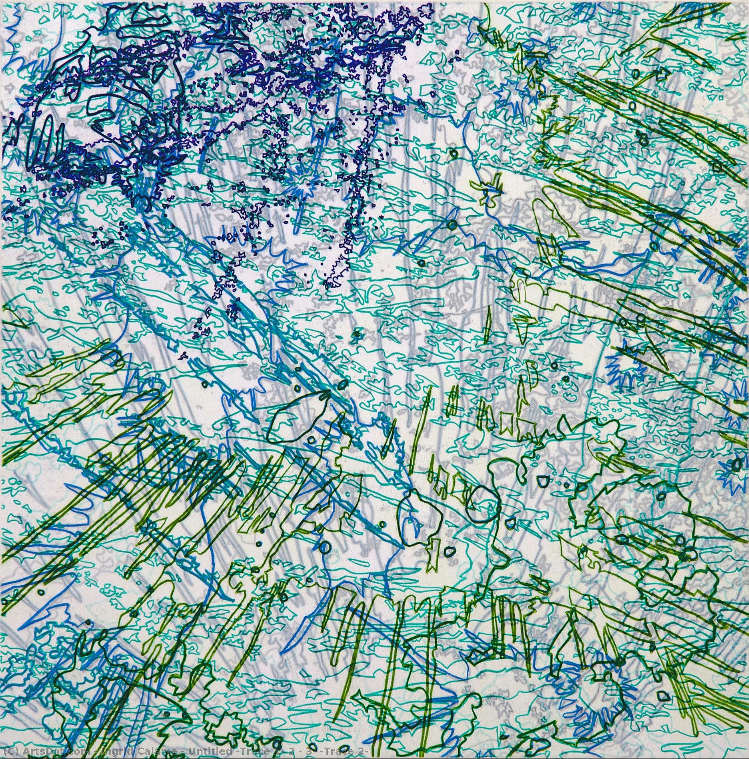 Untitled (trace 1, 2 & 3) (trace 2) — Ingrid Calame