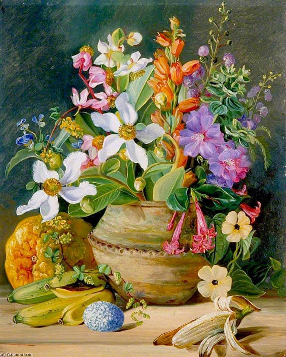 Wiesenblumen Brasiliens, Goldene Banane Und Ei Des Euemba (crotophaga Major) — Marianne North