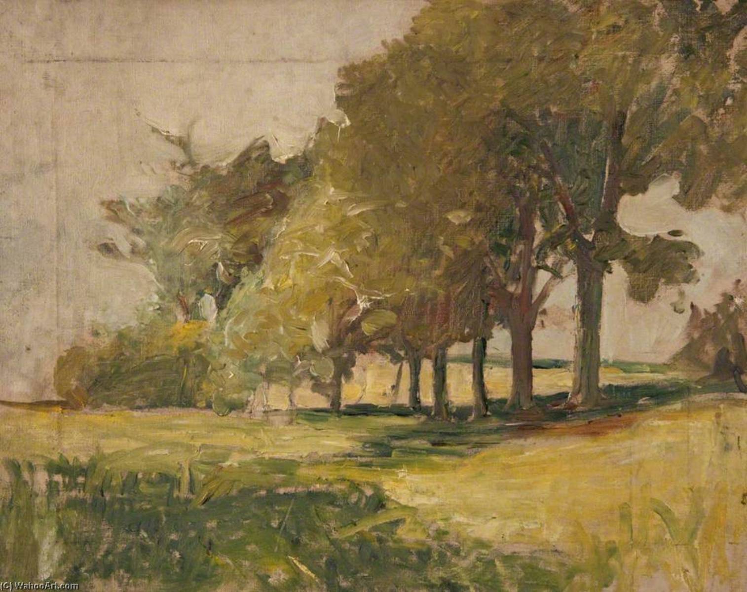 Country Trees In Summer — John Elliot Maguire