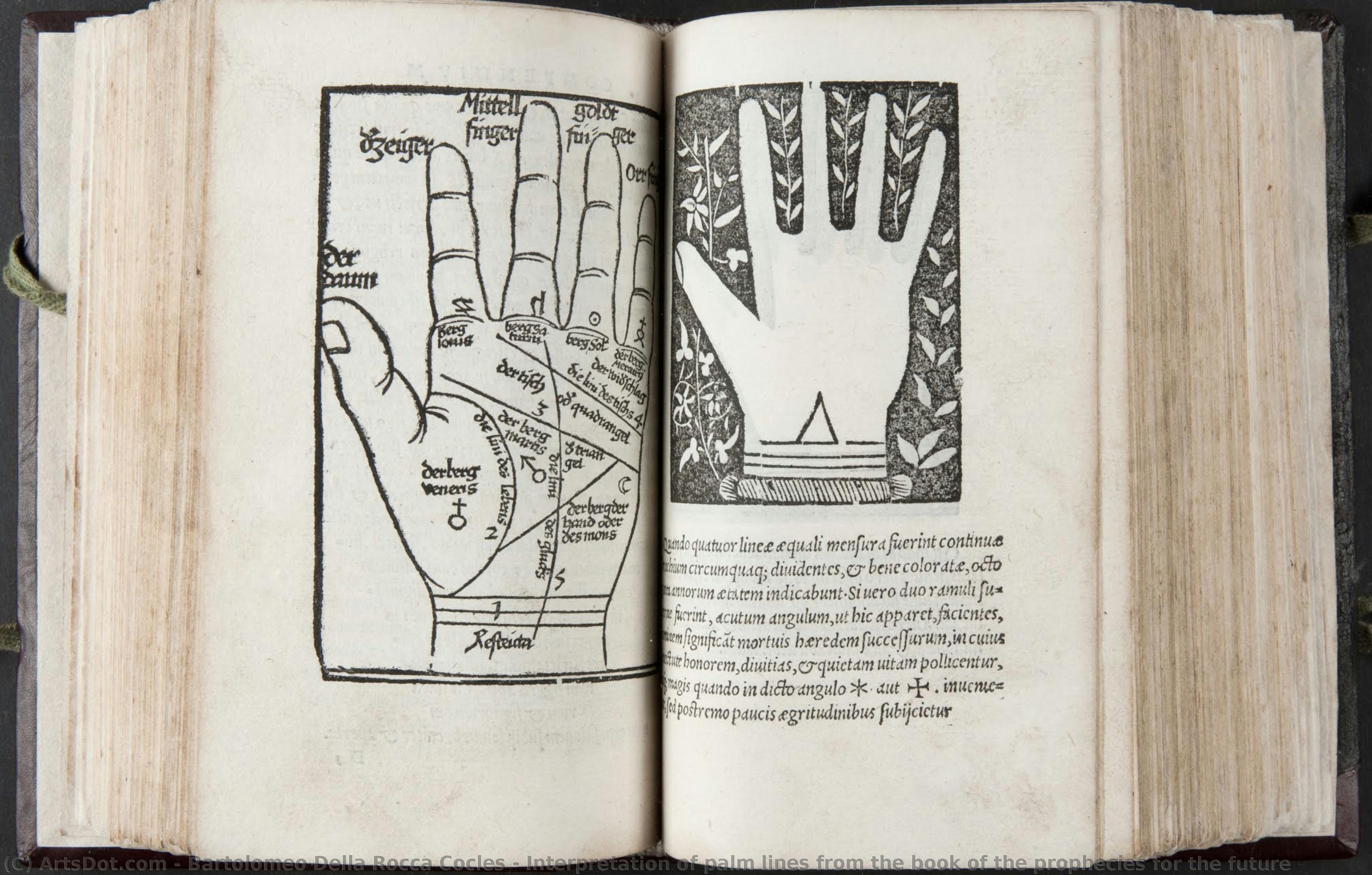 Interpretation Of Palm Lines From The Book Of The Prophecies For The Future — Bartolomeo Della Rocca Cocles