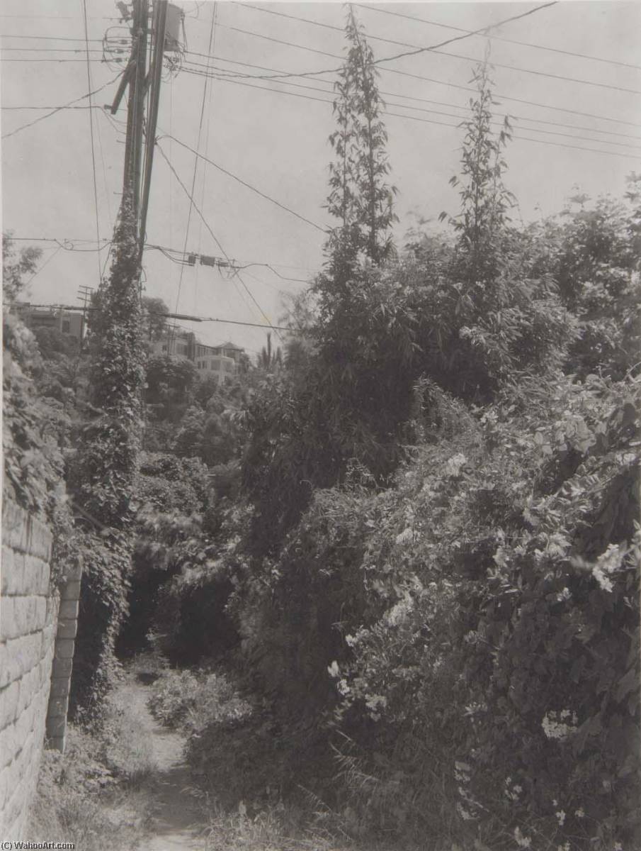 Rustic Road Pacific Palisades (la25) — Madoka Takagi