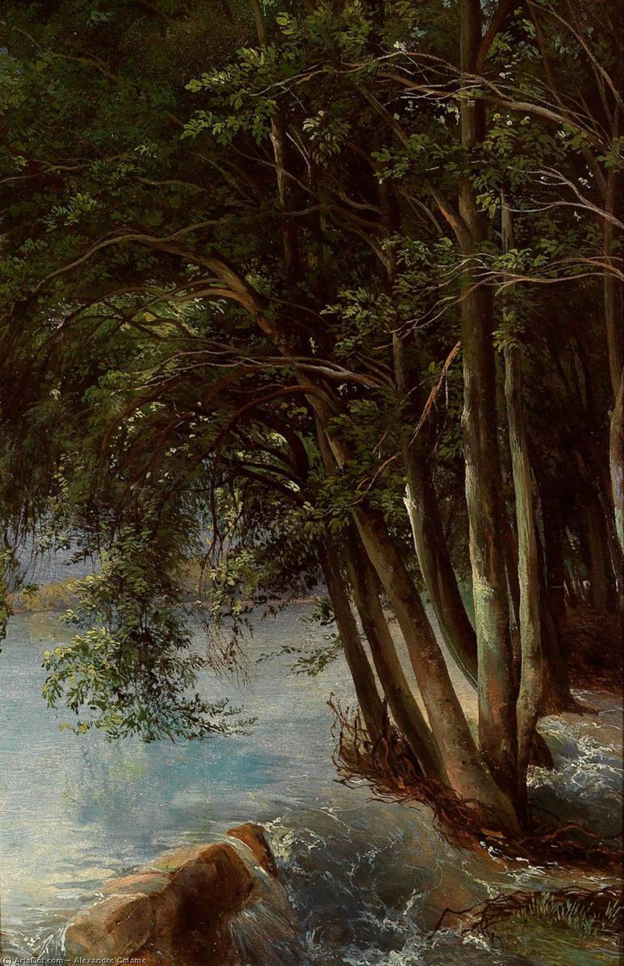Trees At The Bank — Alexandre Calame