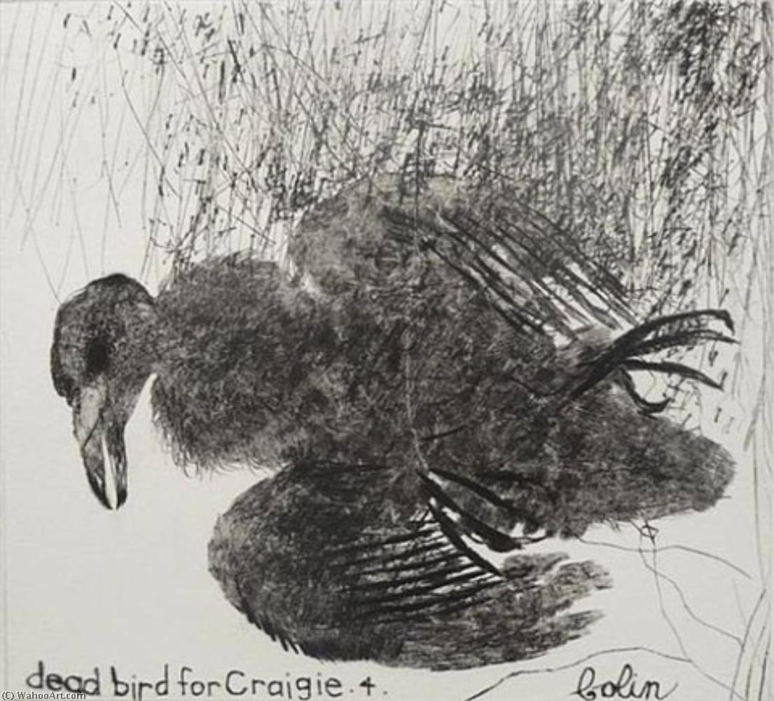 Dead Bird For Craigie — Colin Self