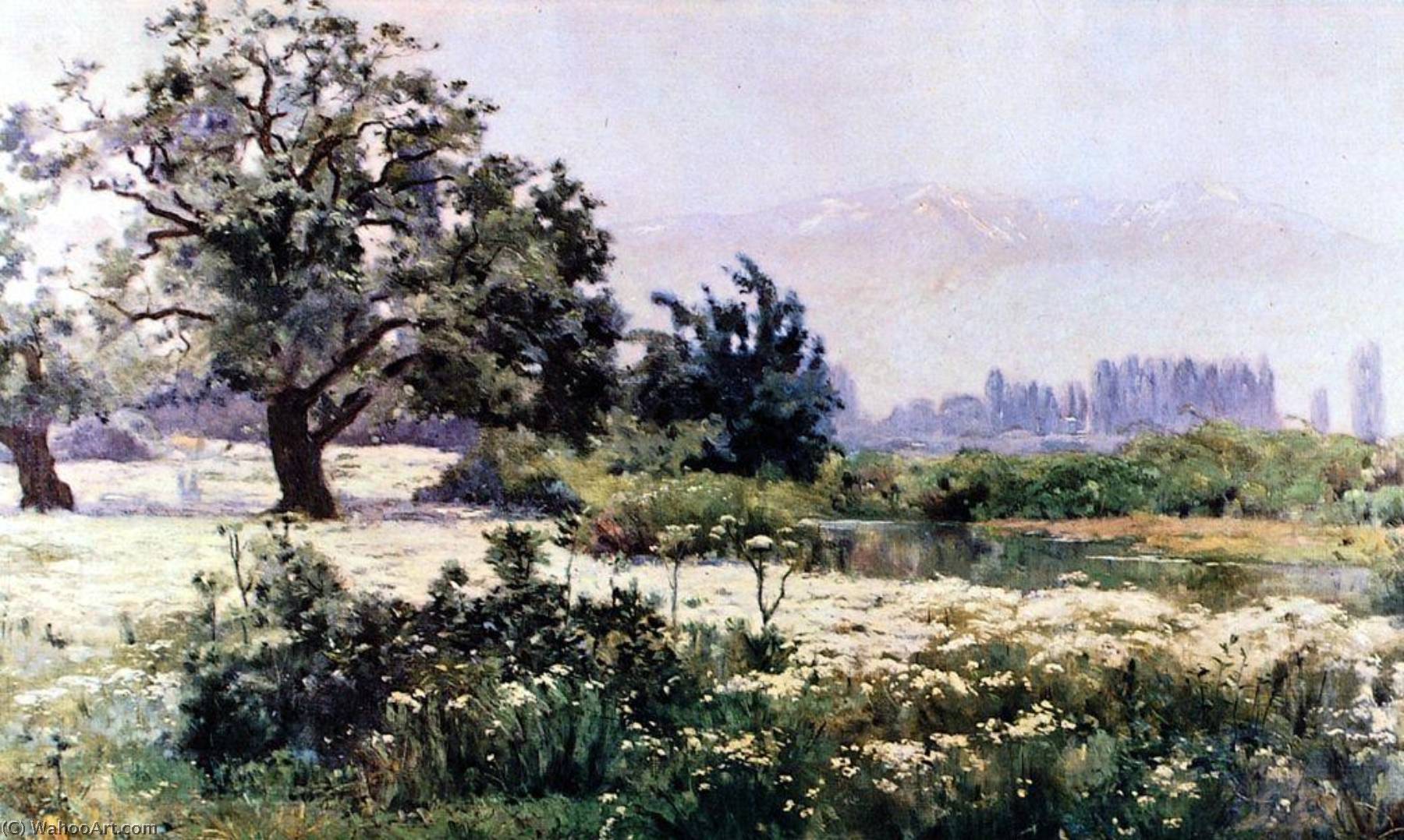 Manzanillas En Flor — Alberto Valenzuela Llanos