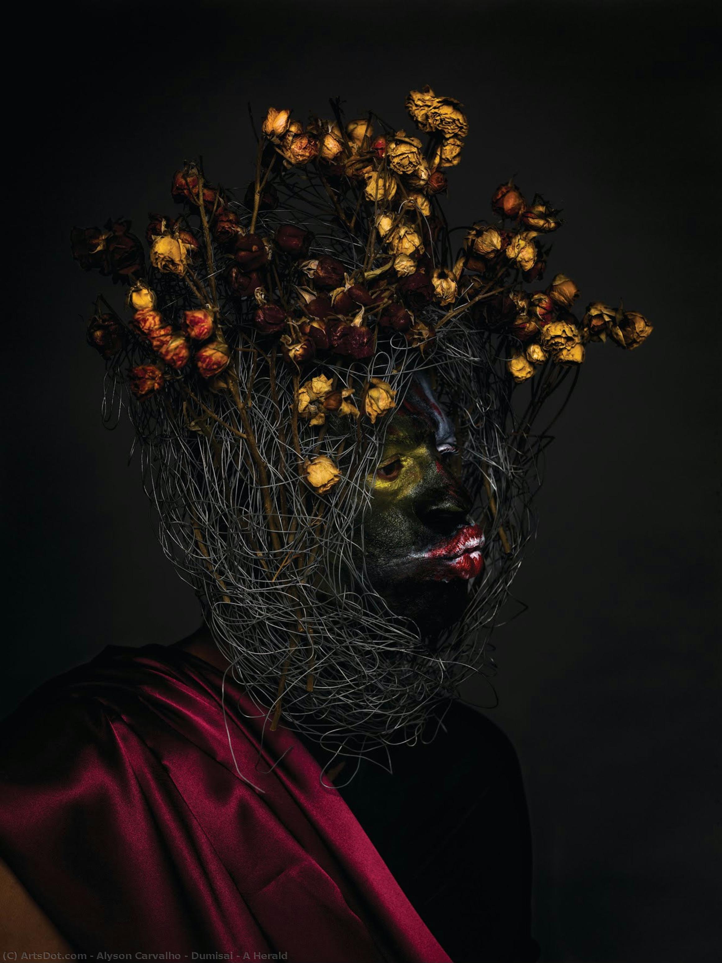 Dumisai - A Herald — Alyson Carvalho