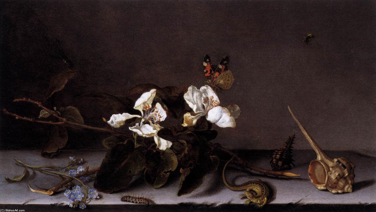 Still-life With Apple Blossoms — Balthasar Van Der Ast